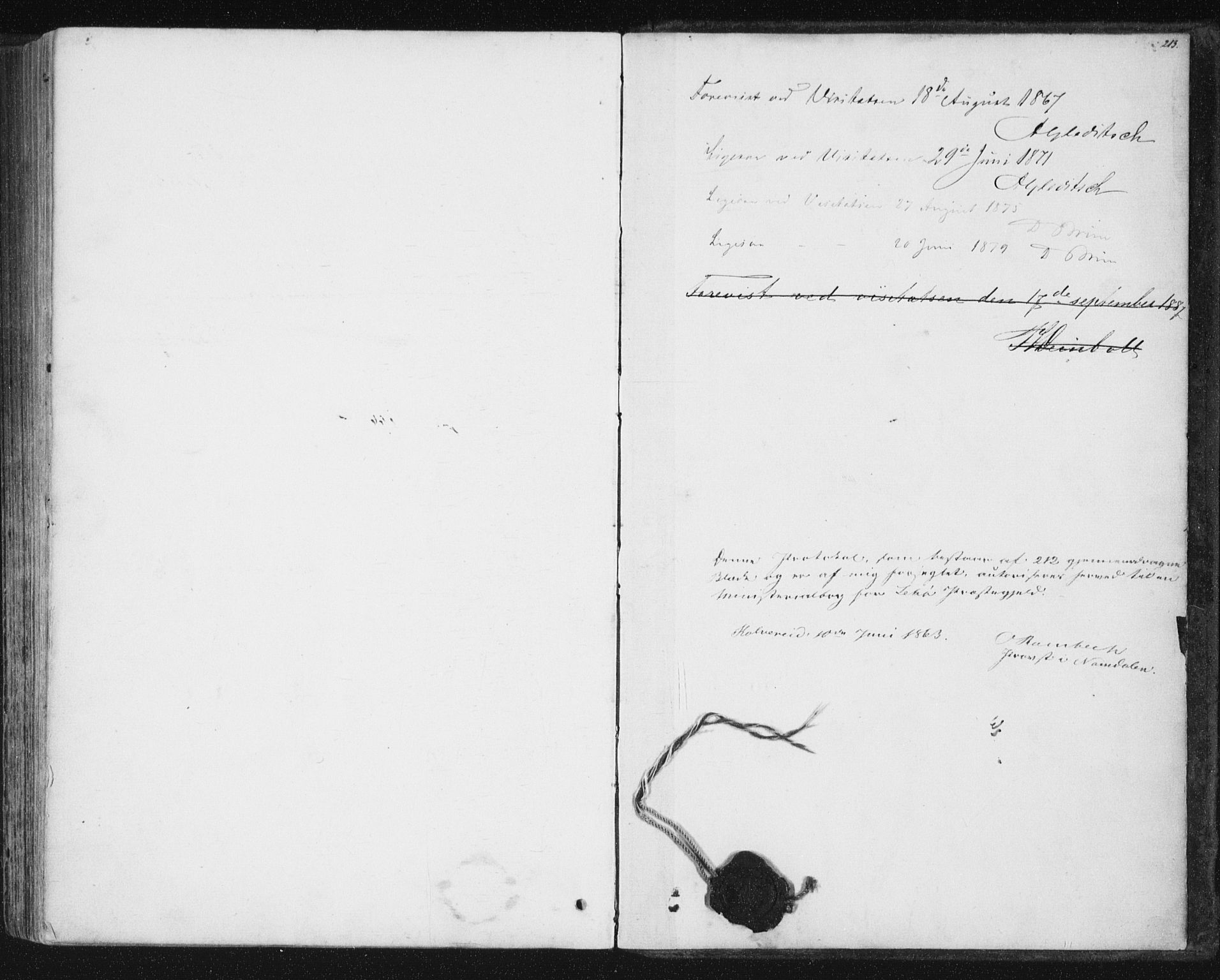 Ministerialprotokoller, klokkerbøker og fødselsregistre - Nord-Trøndelag, AV/SAT-A-1458/788/L0696: Parish register (official) no. 788A03, 1863-1877, p. 213