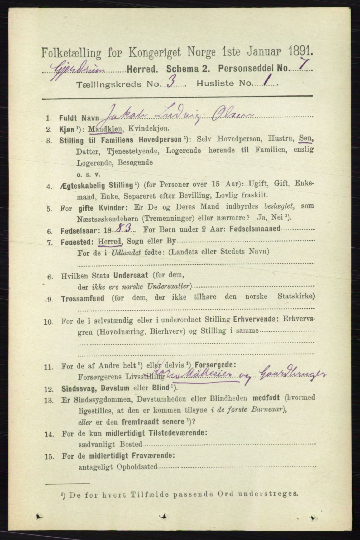 RA, 1891 census for 0234 Gjerdrum, 1891, p. 1258