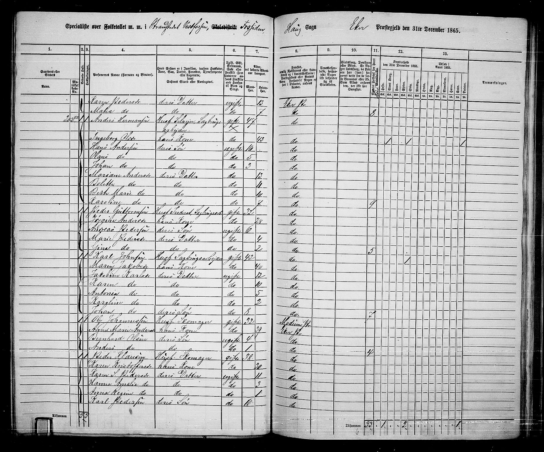 RA, 1865 census for Eiker, 1865, p. 227