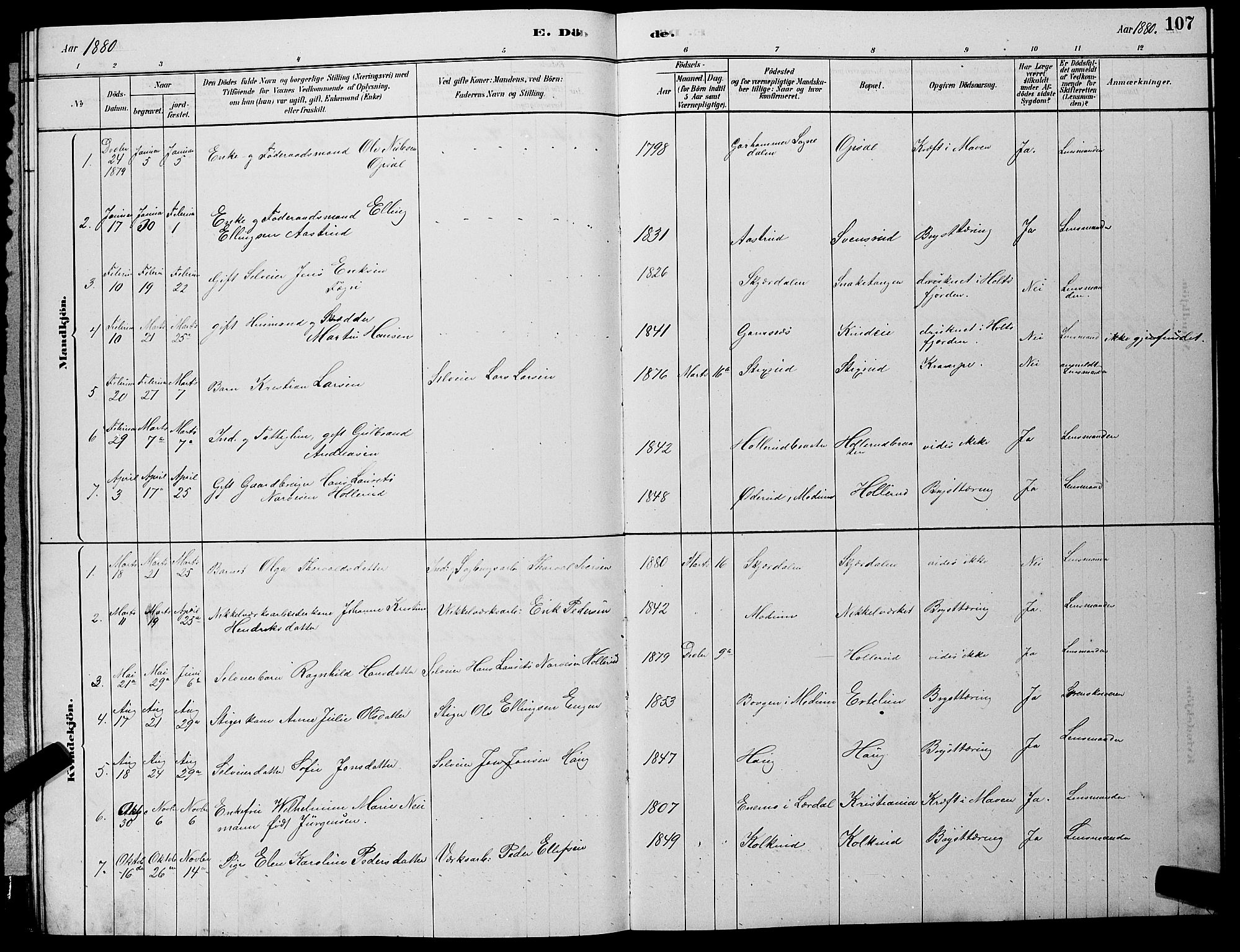 Hole kirkebøker, SAKO/A-228/G/Gb/L0002: Parish register (copy) no. II 2, 1878-1889, p. 107