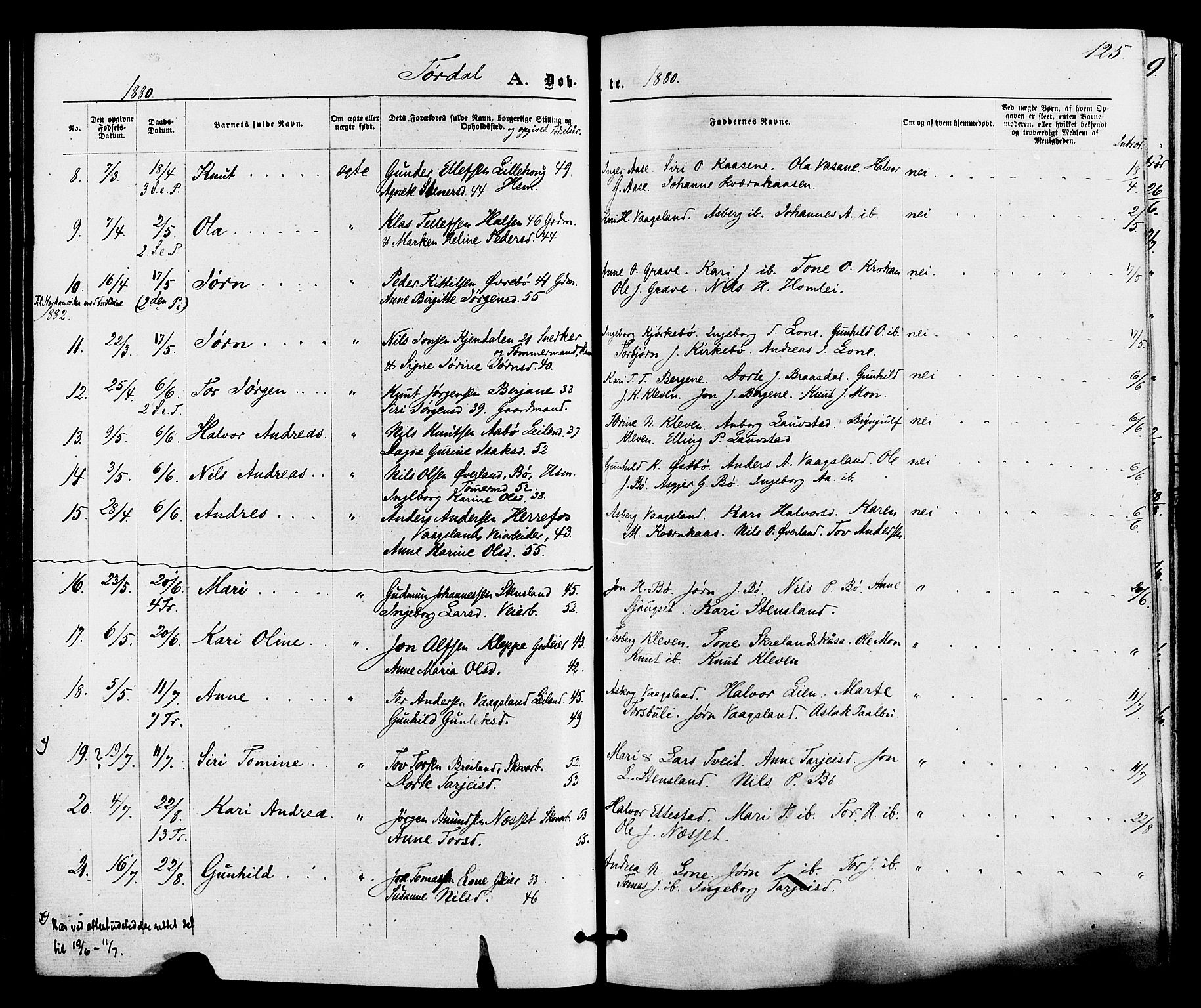 Drangedal kirkebøker, SAKO/A-258/F/Fa/L0009: Parish register (official) no. 9 /2, 1872-1884, p. 125