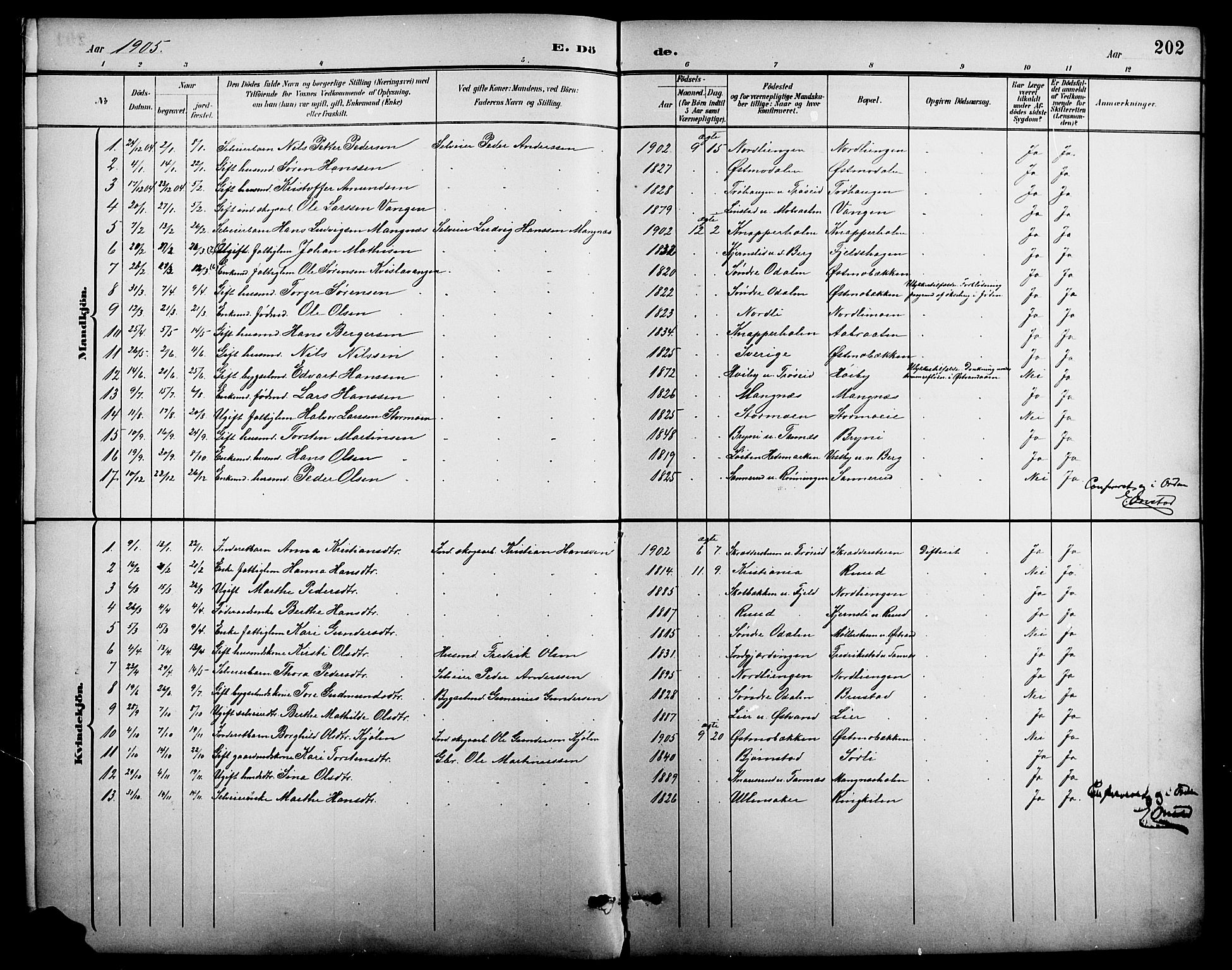 Nord-Odal prestekontor, SAH/PREST-032/H/Ha/Hab/L0002: Parish register (copy) no. 2, 1895-1921, p. 202
