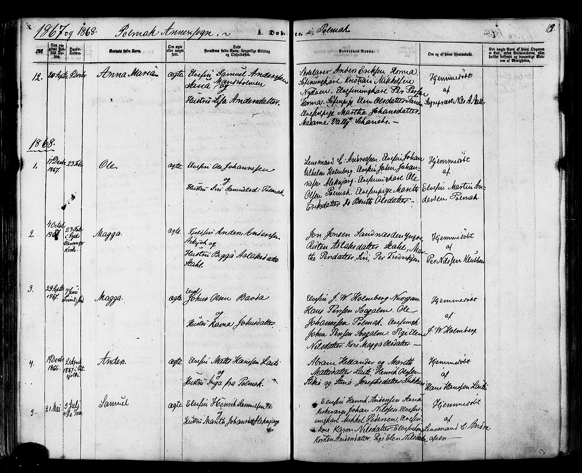 Nesseby sokneprestkontor, AV/SATØ-S-1330/H/Ha/L0003kirke: Parish register (official) no. 3 /2, 1866-1876, p. 119