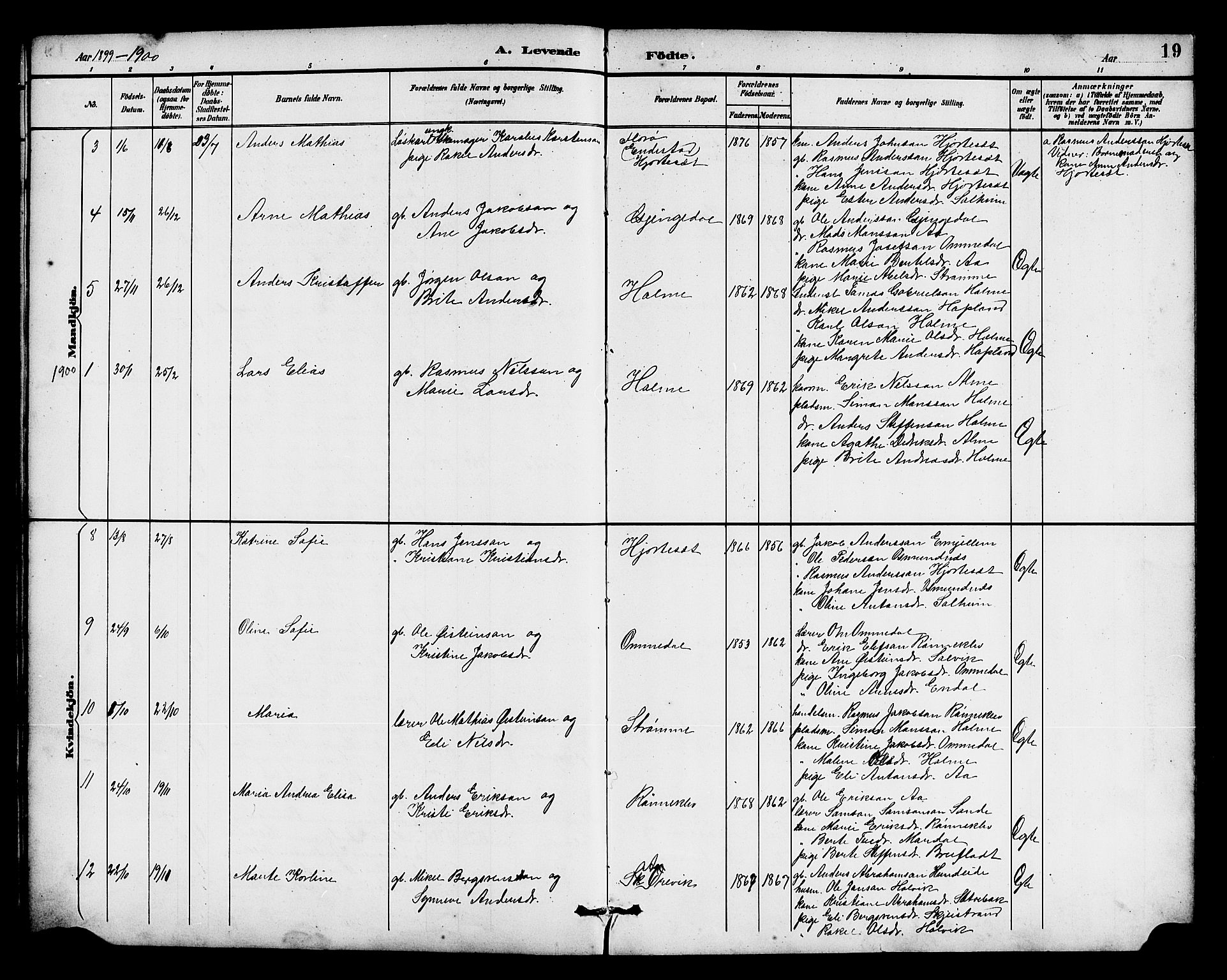 Gloppen sokneprestembete, AV/SAB-A-80101/H/Hab/Habe/L0001: Parish register (copy) no. E 1, 1891-1917, p. 19