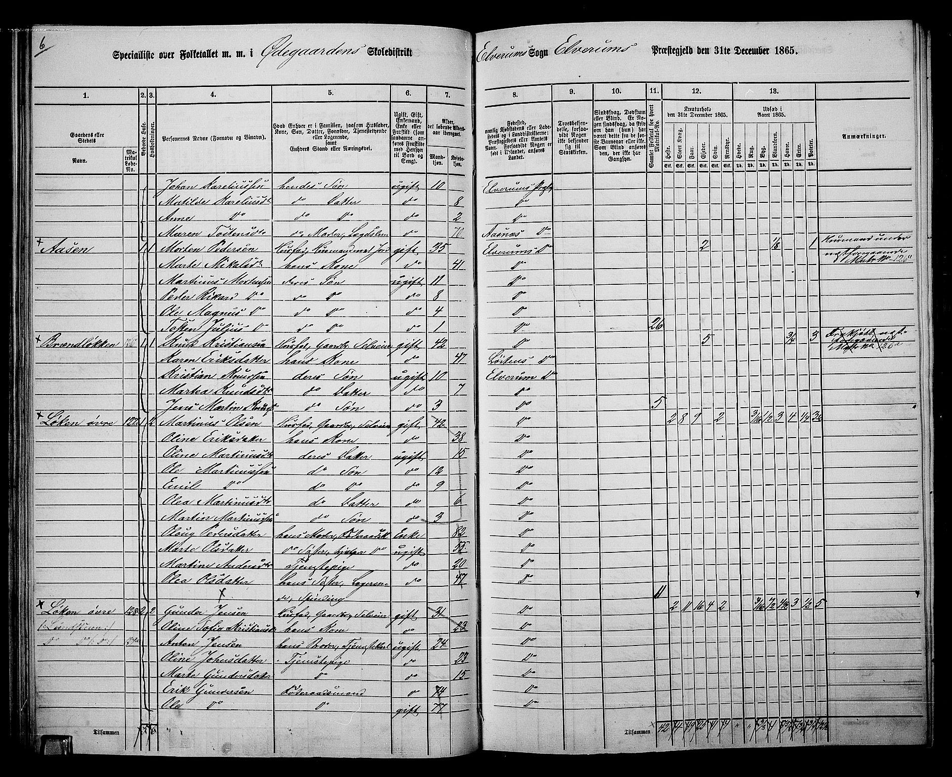 RA, 1865 census for Elverum, 1865, p. 74