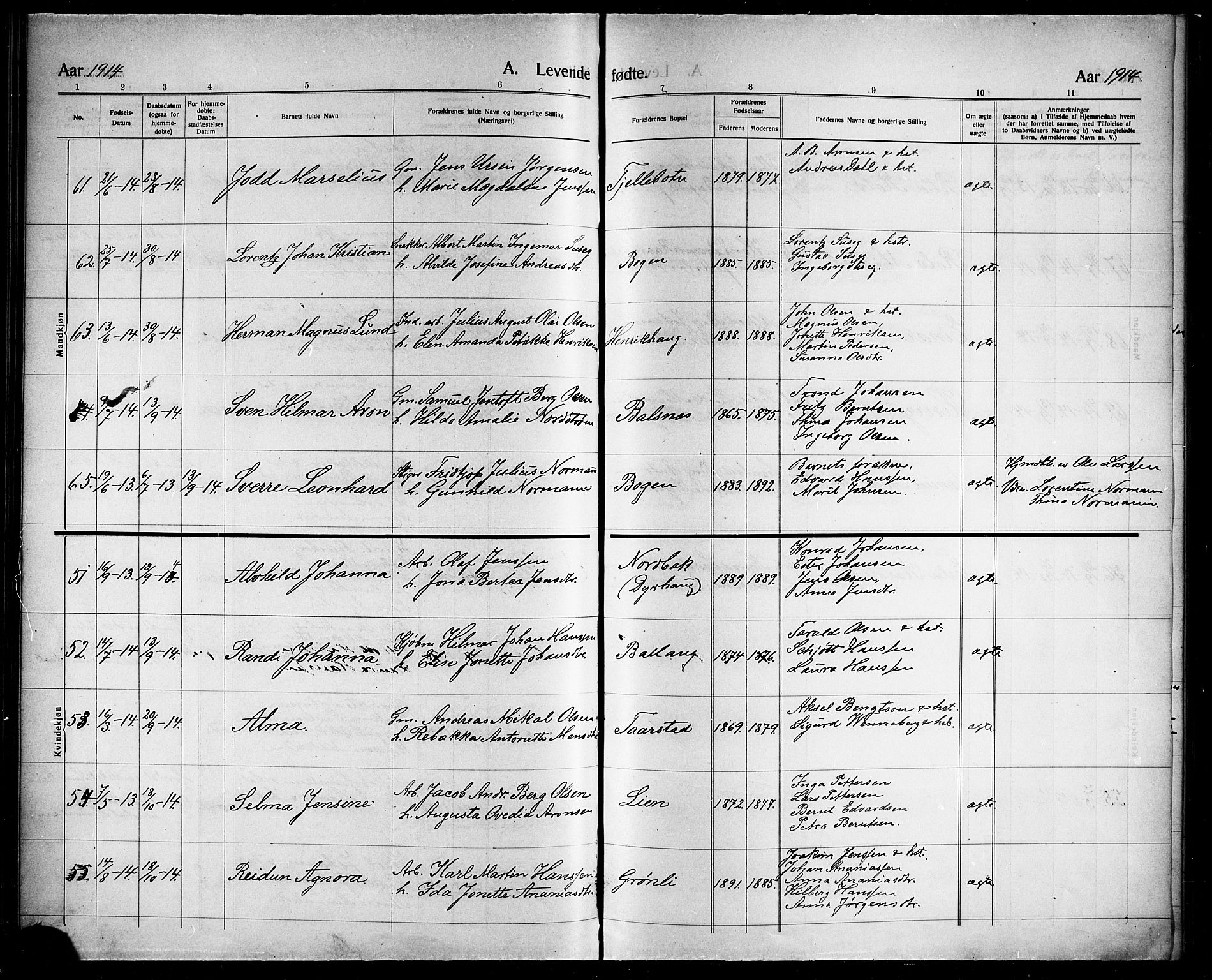 Ministerialprotokoller, klokkerbøker og fødselsregistre - Nordland, AV/SAT-A-1459/863/L0916: Parish register (copy) no. 863C06, 1907-1921