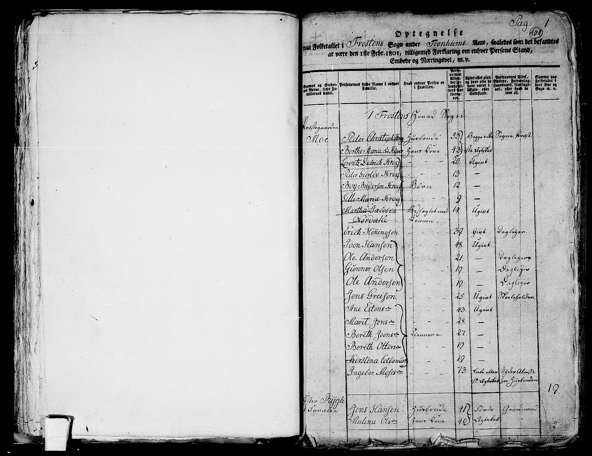RA, 1801 census for 1717P Frosta, 1801, p. 101a