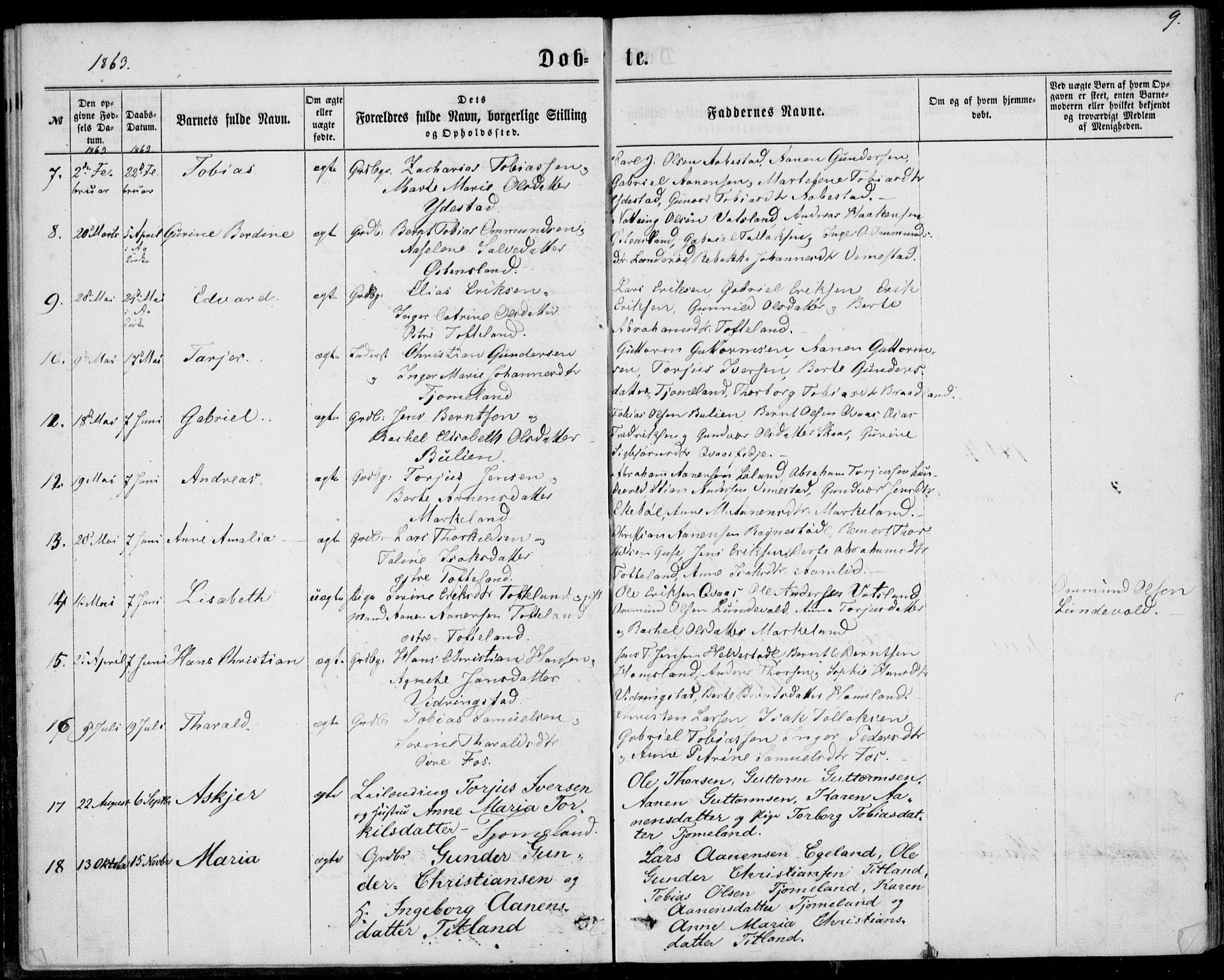 Lyngdal sokneprestkontor, AV/SAK-1111-0029/F/Fa/Fab/L0002: Parish register (official) no. A 2, 1861-1878, p. 9