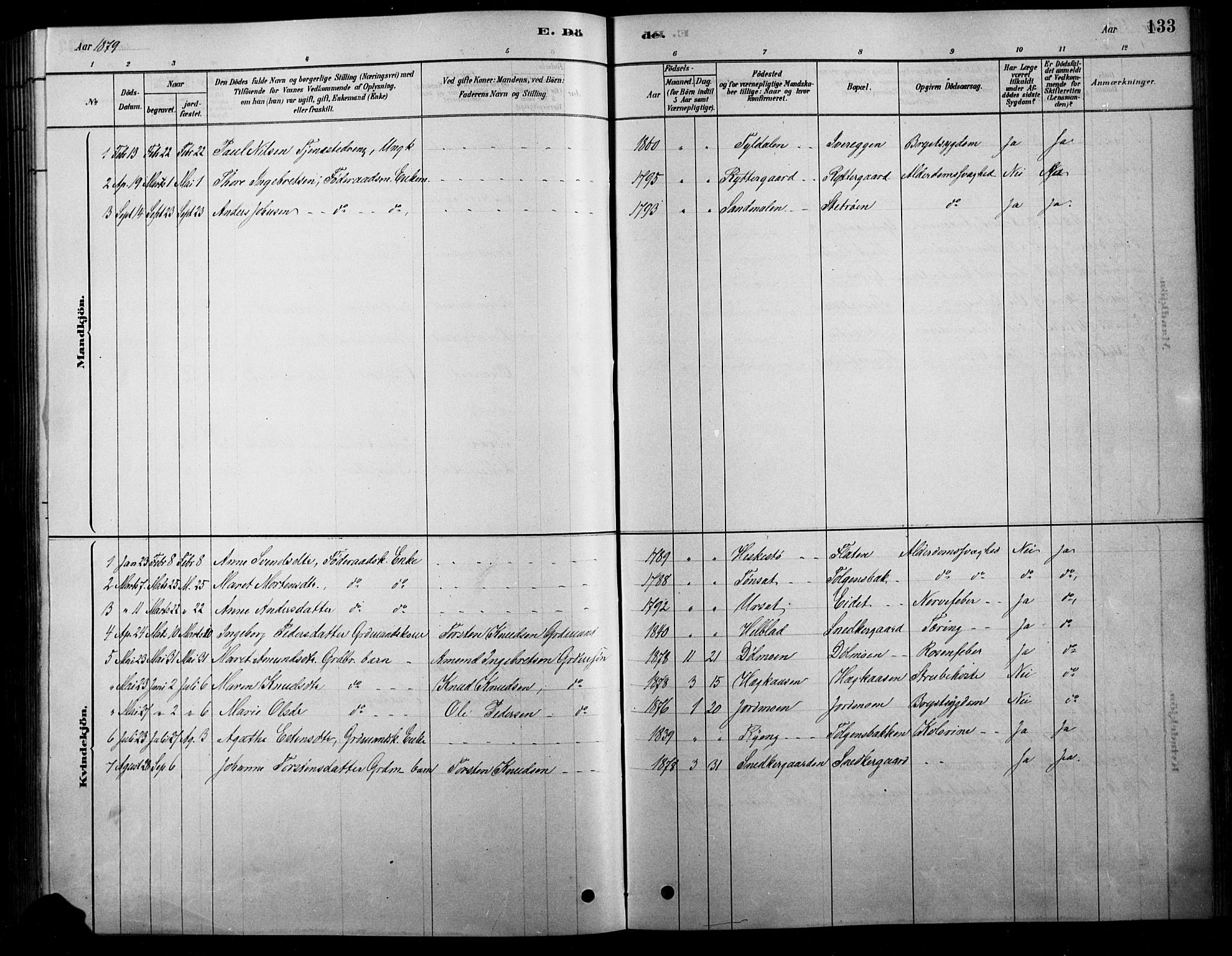 Tolga prestekontor, SAH/PREST-062/L/L0007: Parish register (copy) no. 7, 1878-1919, p. 133