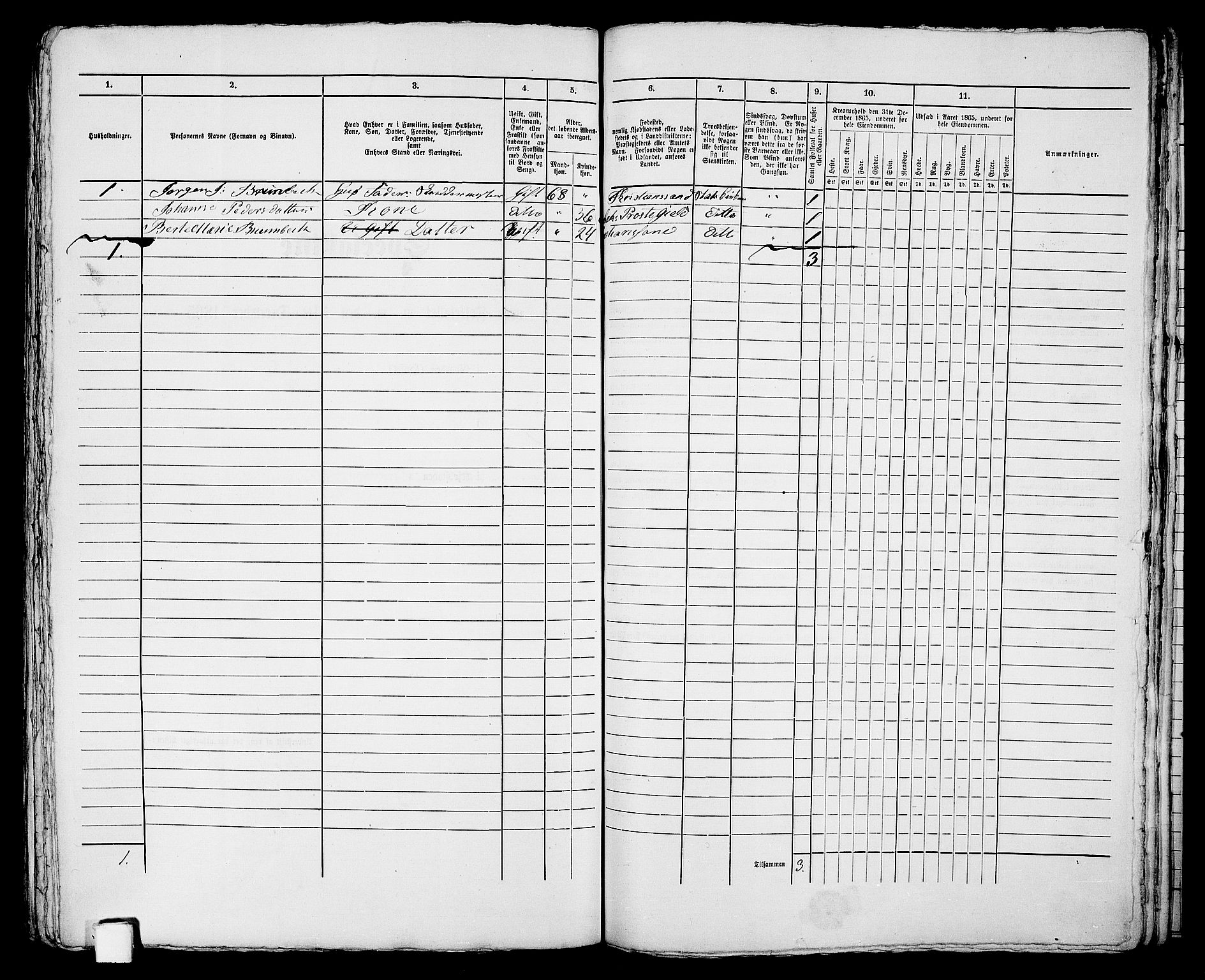 RA, 1865 census for Kristiansand, 1865, p. 450