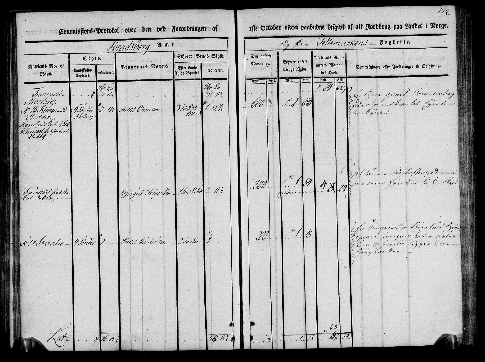 Rentekammeret inntil 1814, Realistisk ordnet avdeling, AV/RA-EA-4070/N/Ne/Nea/L0075: Øvre Telemarken fogderi. Kommisjonsprotokoll for fogderiets vestre del - Kviteseid, Vinje, Moland [):Fyresdal] og Lårdal prestegjeld., 1803, p. 174