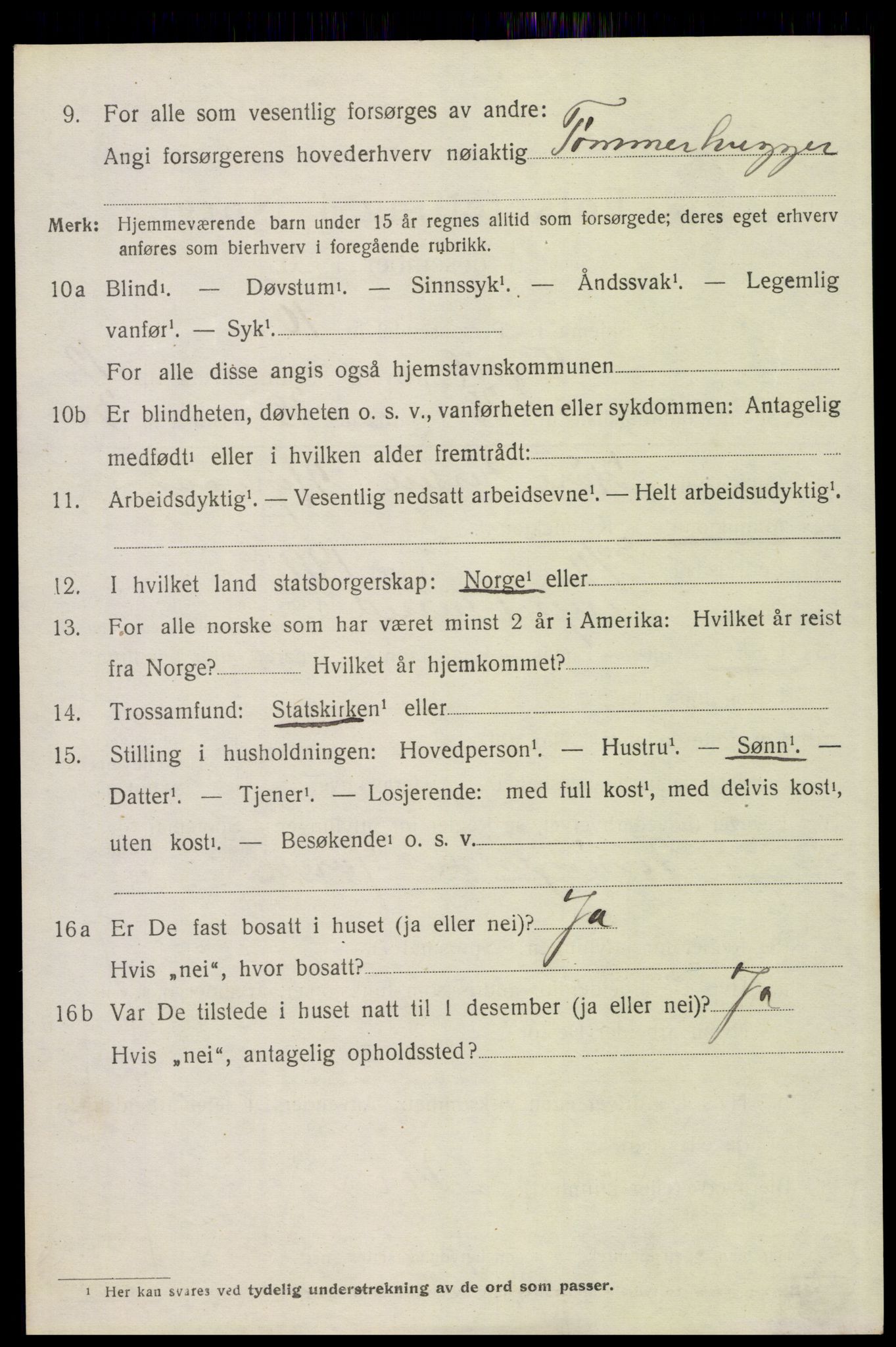 SAH, 1920 census for Trysil, 1920, p. 7510