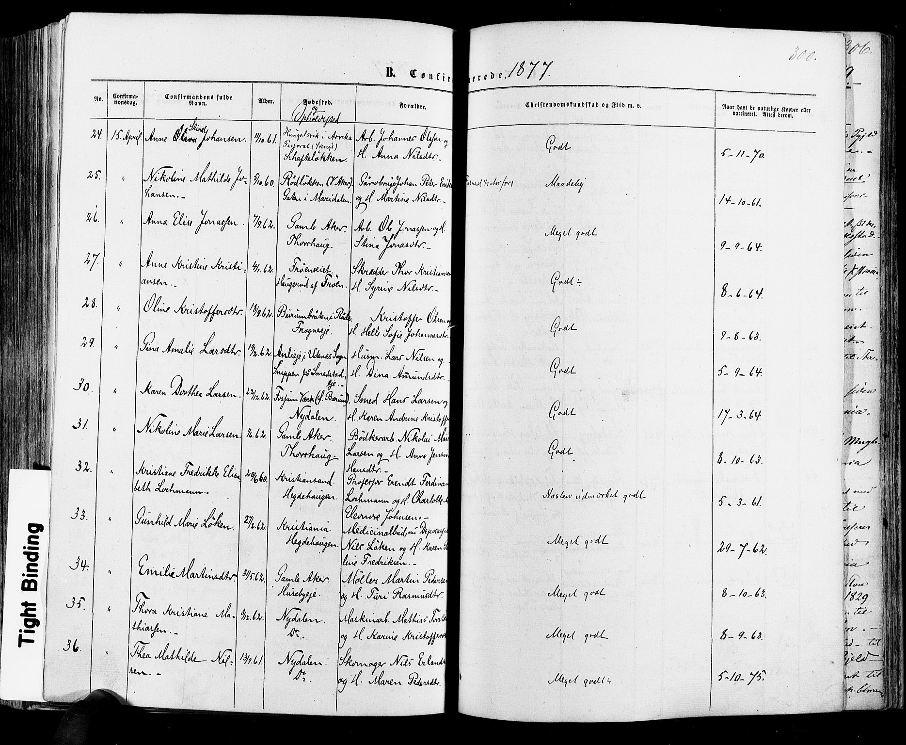 Vestre Aker prestekontor Kirkebøker, AV/SAO-A-10025/F/Fa/L0005: Parish register (official) no. 5, 1859-1877, p. 300