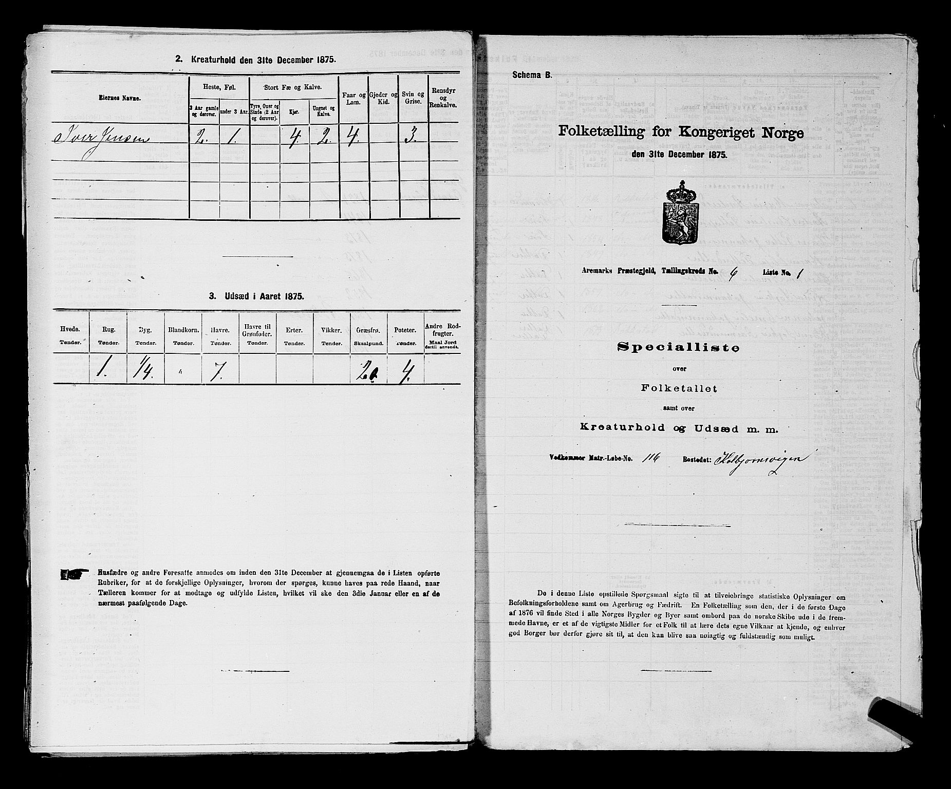 RA, 1875 census for 0118P Aremark, 1875, p. 1017