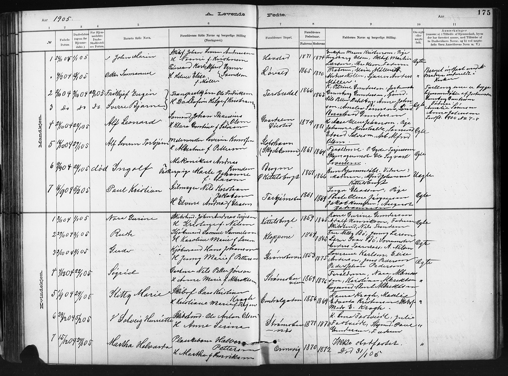 Barbu sokneprestkontor, SAK/1111-0003/F/Fb/L0002: Parish register (copy) no. B 2, 1890-1922, p. 175