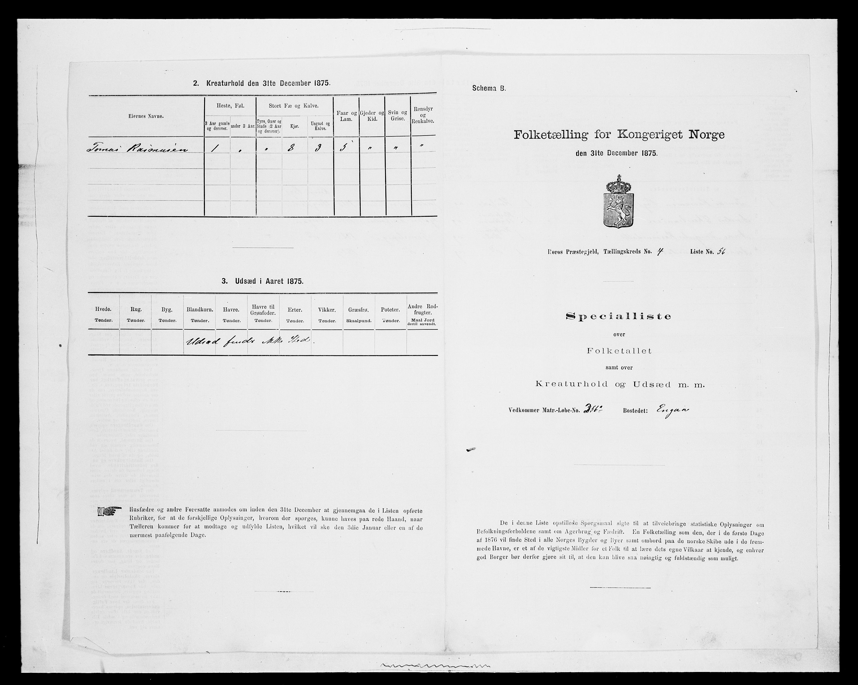 SAH, 1875 census for 0436P Tolga, 1875, p. 1165