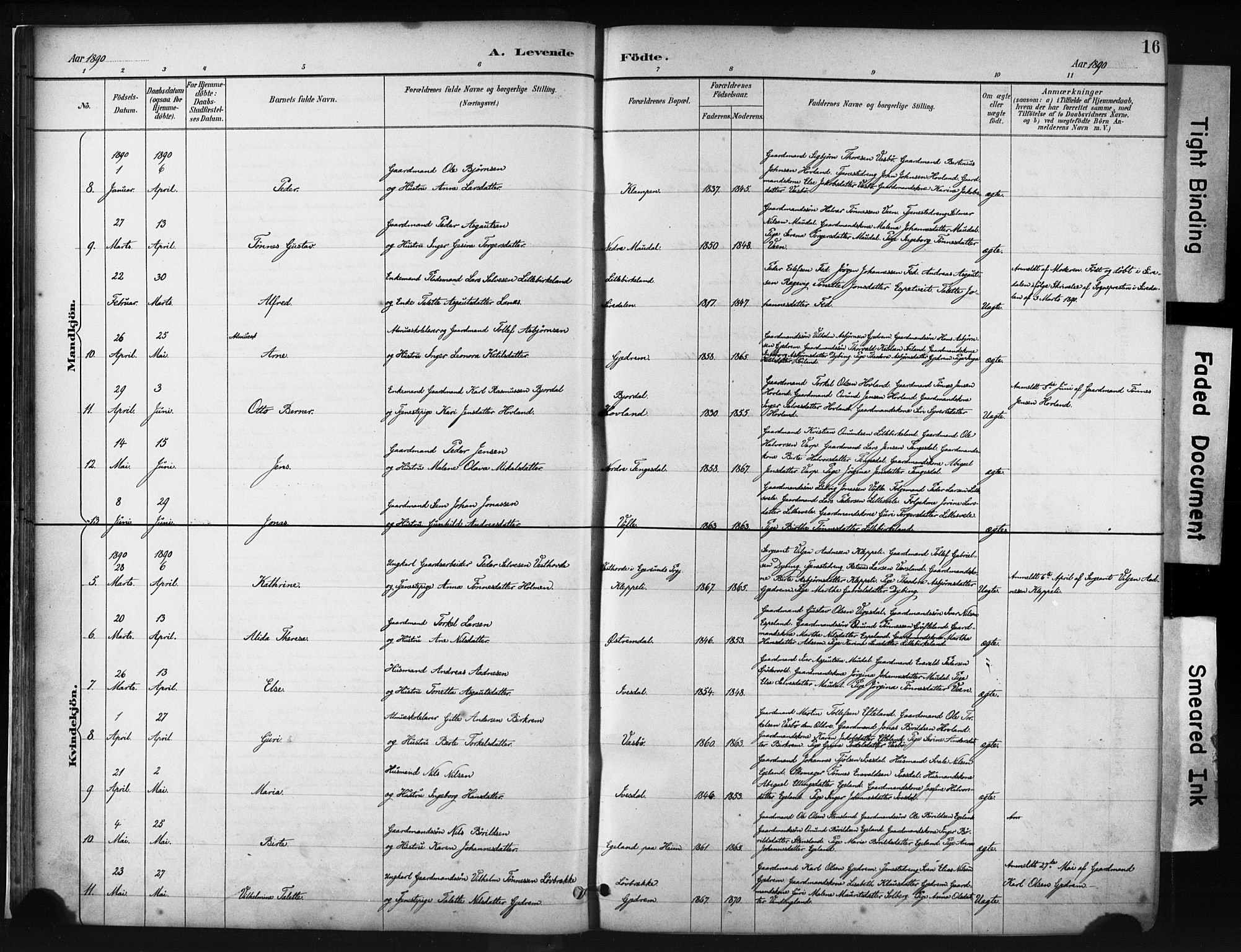 Helleland sokneprestkontor, AV/SAST-A-101810: Parish register (official) no. A 9, 1887-1908, p. 16