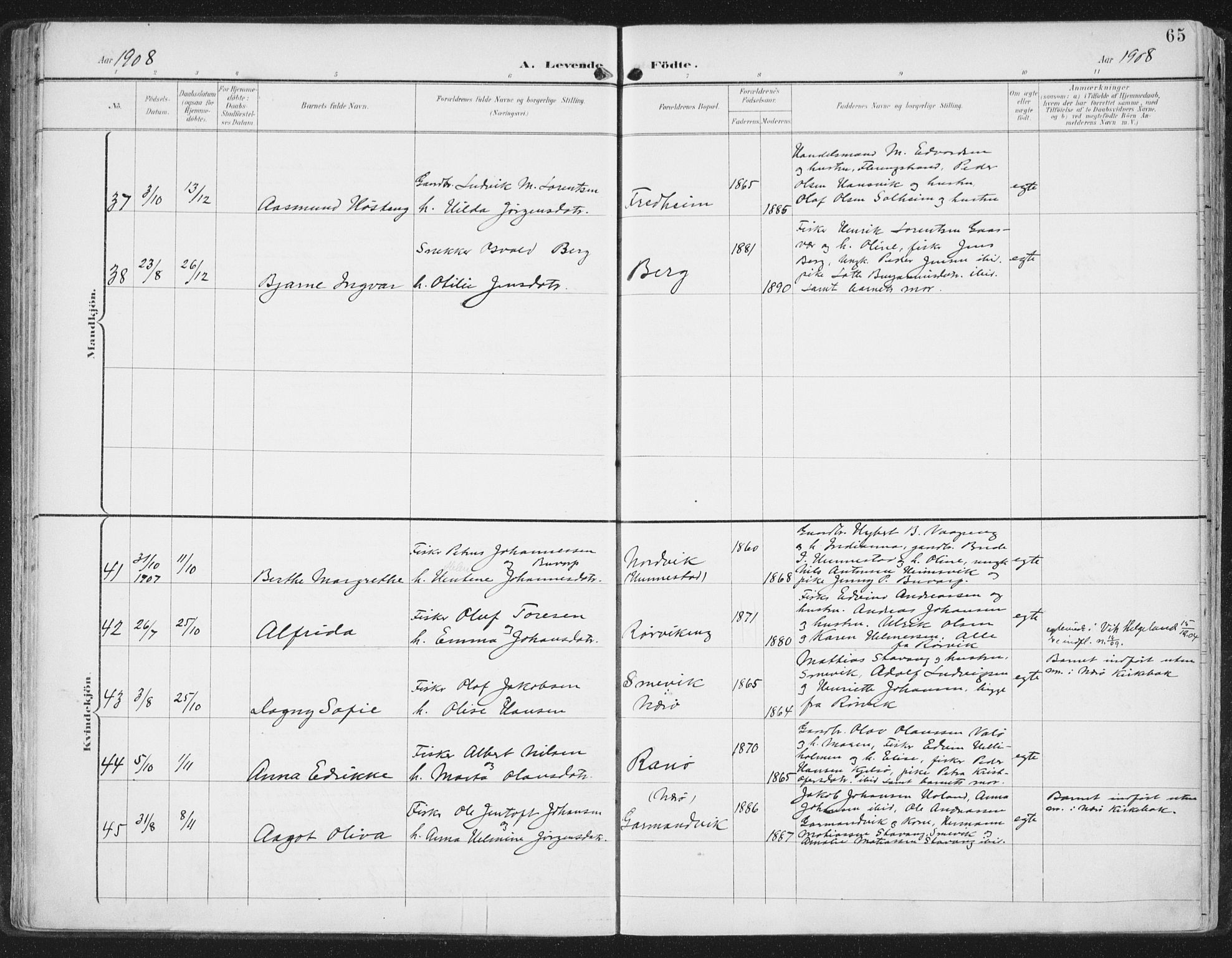 Ministerialprotokoller, klokkerbøker og fødselsregistre - Nord-Trøndelag, SAT/A-1458/786/L0688: Parish register (official) no. 786A04, 1899-1912, p. 65