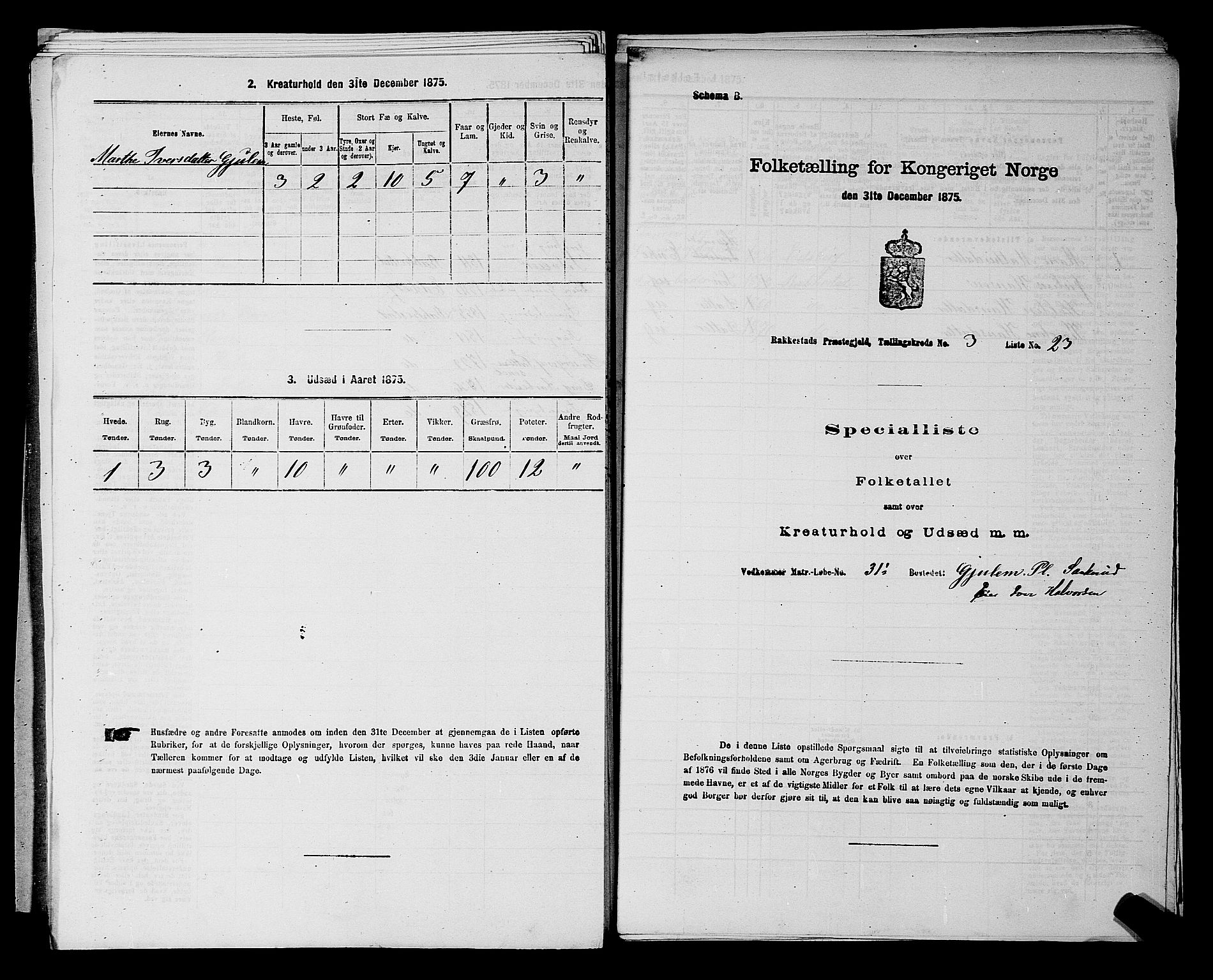 RA, 1875 census for 0128P Rakkestad, 1875, p. 515