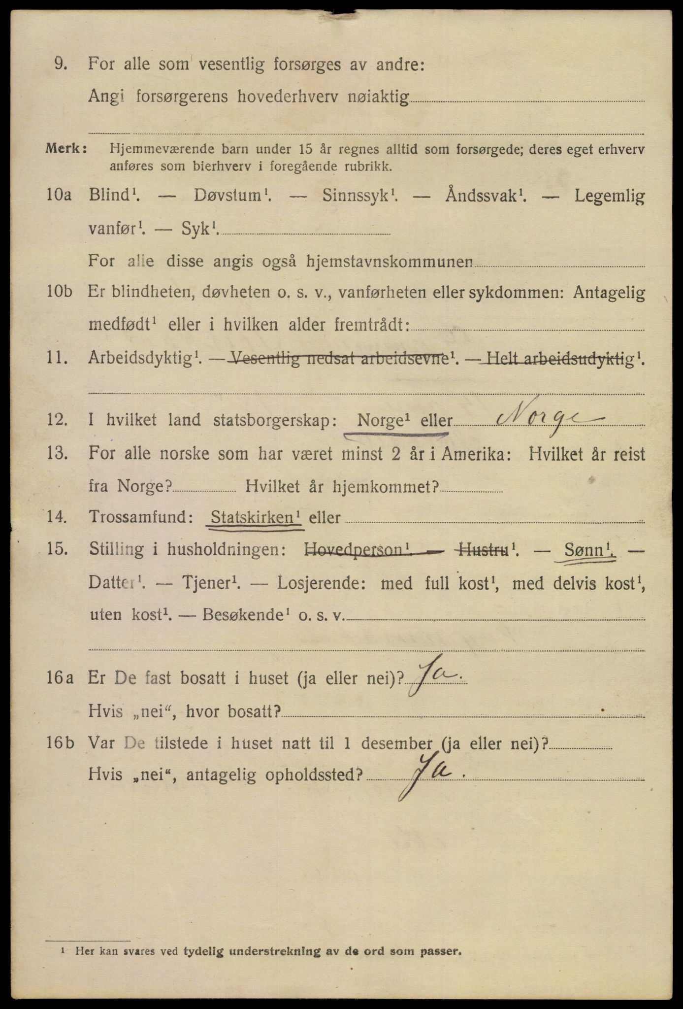 SAKO, 1920 census for Notodden, 1920, p. 9821