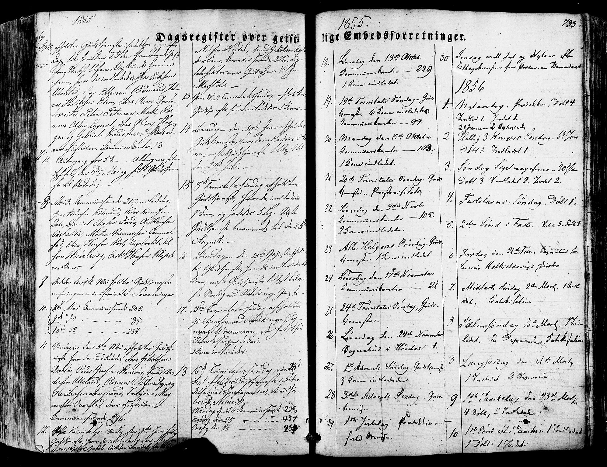 Ministerialprotokoller, klokkerbøker og fødselsregistre - Møre og Romsdal, SAT/A-1454/511/L0140: Parish register (official) no. 511A07, 1851-1878, p. 733