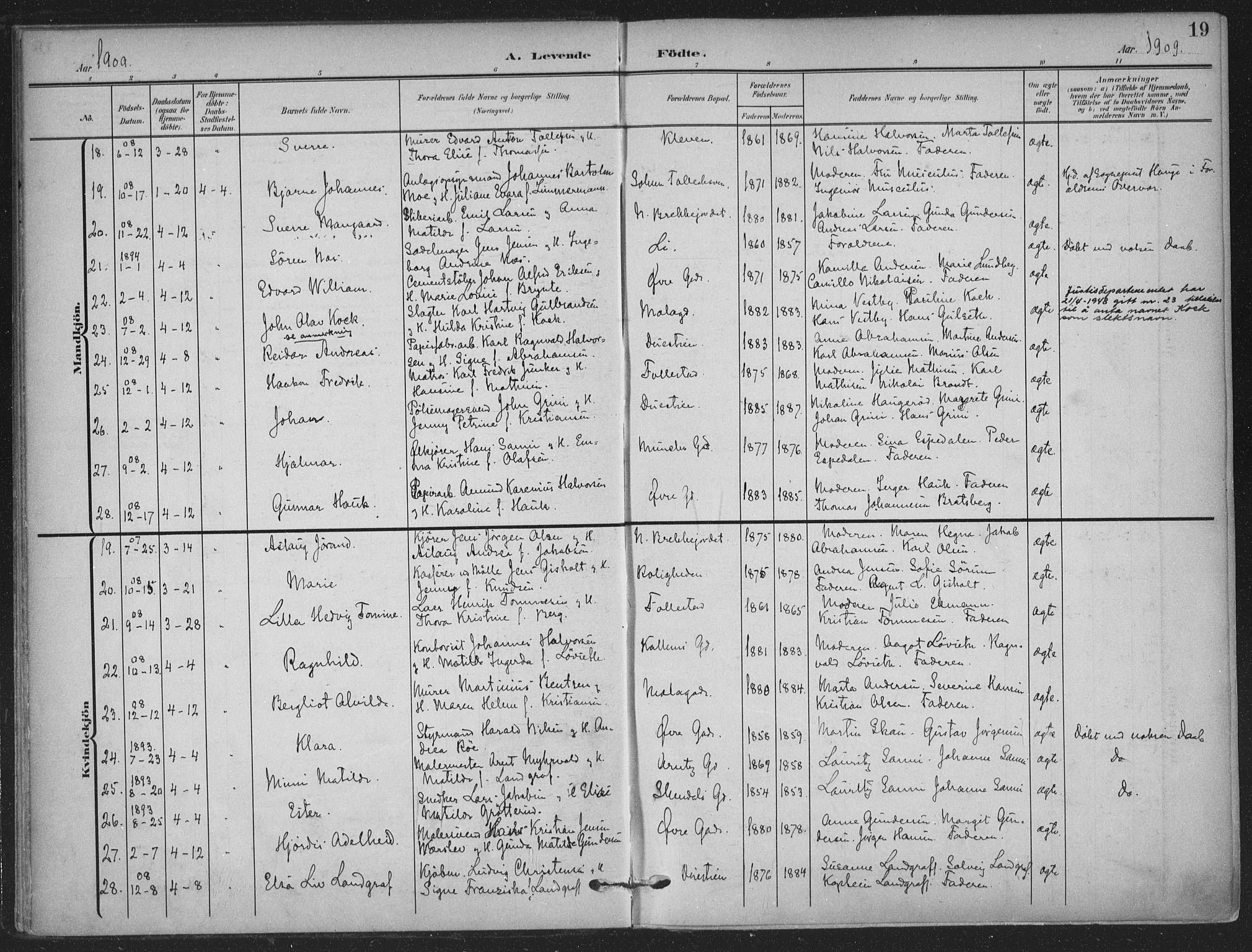 Skien kirkebøker, AV/SAKO-A-302/F/Fa/L0012: Parish register (official) no. 12, 1908-1914, p. 19