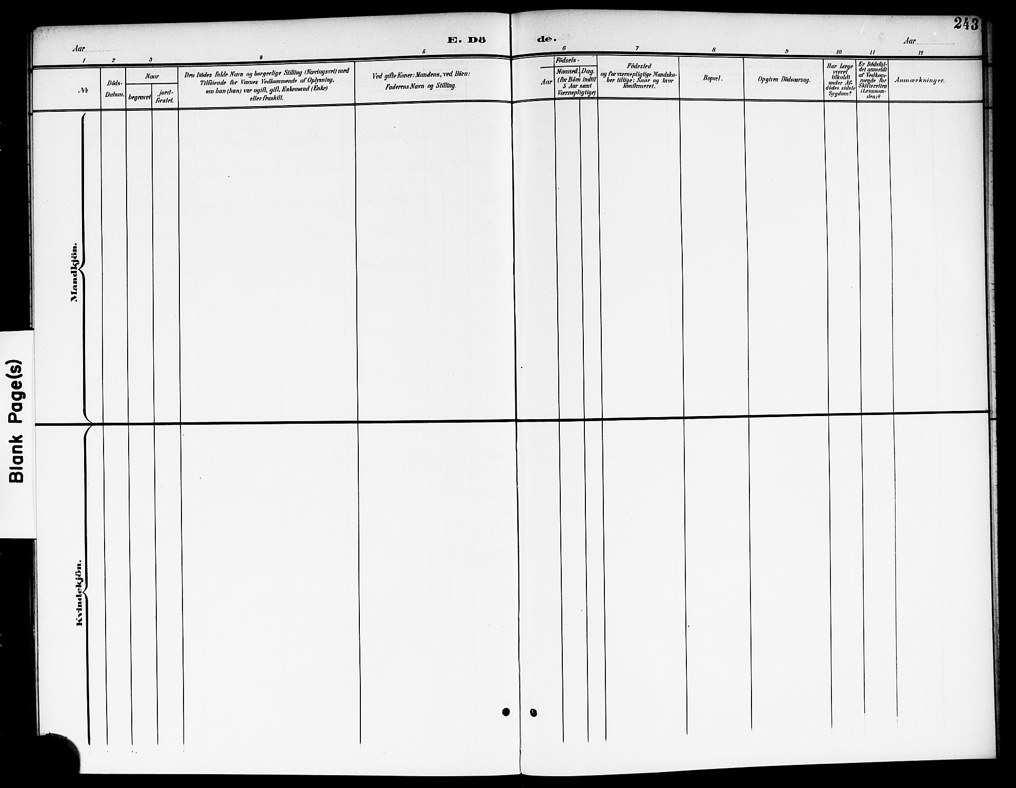 Nes prestekontor Kirkebøker, AV/SAO-A-10410/G/Ga/L0002: Parish register (copy) no. I 2, 1901-1912, p. 243