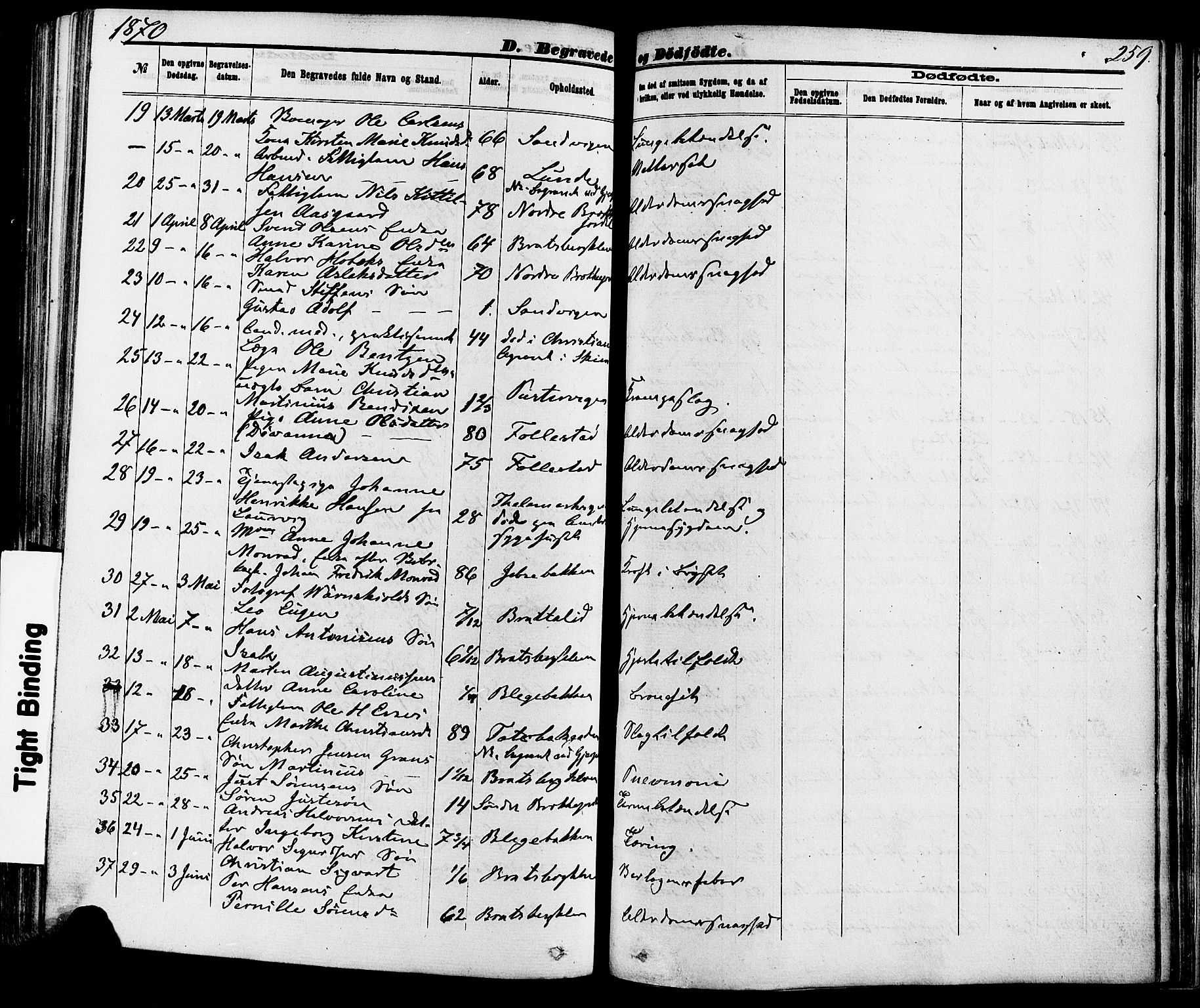 Skien kirkebøker, AV/SAKO-A-302/F/Fa/L0008: Parish register (official) no. 8, 1866-1877, p. 259