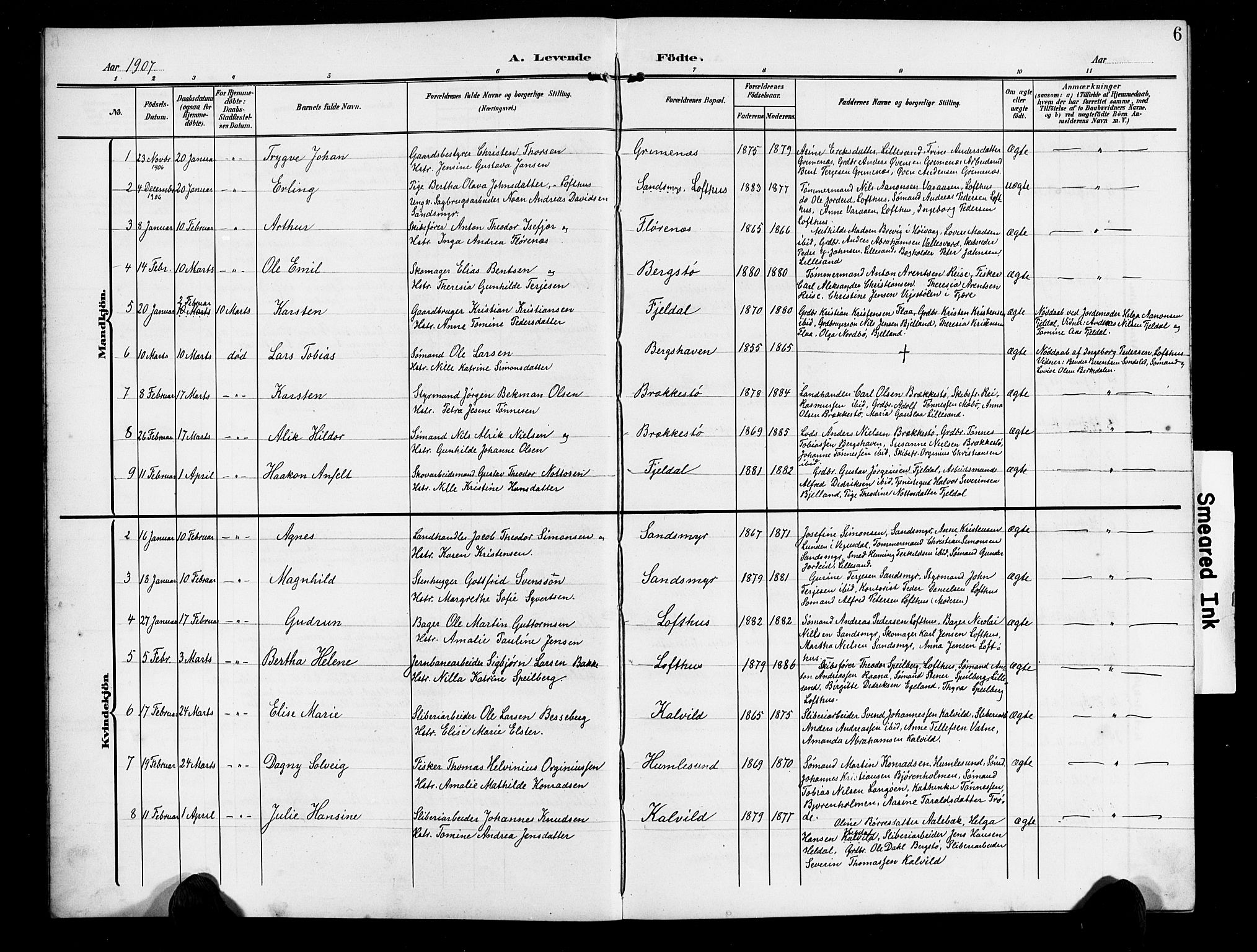 Vestre Moland sokneprestkontor, AV/SAK-1111-0046/F/Fb/Fbb/L0007: Parish register (copy) no. B 7, 1906-1929, p. 6