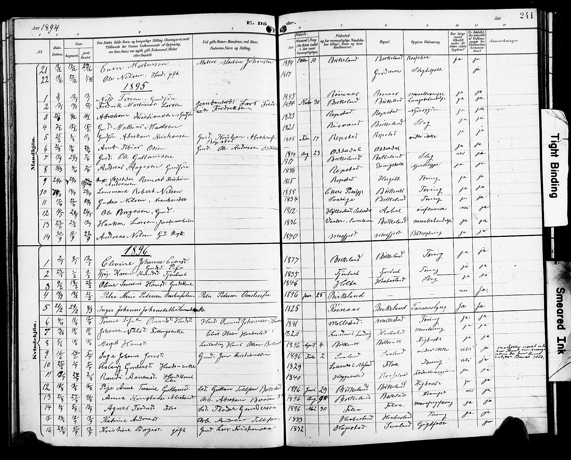 Birkenes sokneprestkontor, SAK/1111-0004/F/Fb/L0004: Parish register (copy) no. B 4, 1893-1930, p. 241