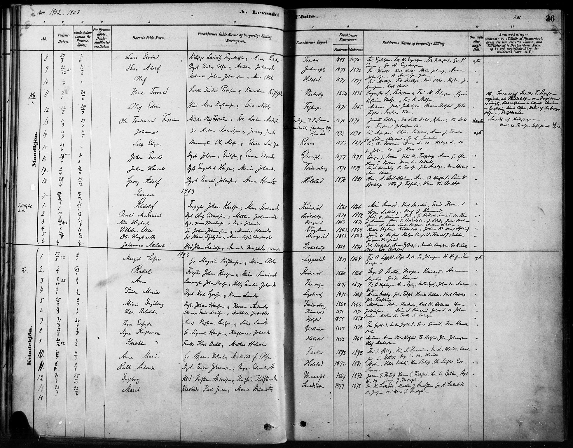 Hobøl prestekontor Kirkebøker, AV/SAO-A-2002/F/Fb/L0001: Parish register (official) no. II 1, 1878-1904, p. 36