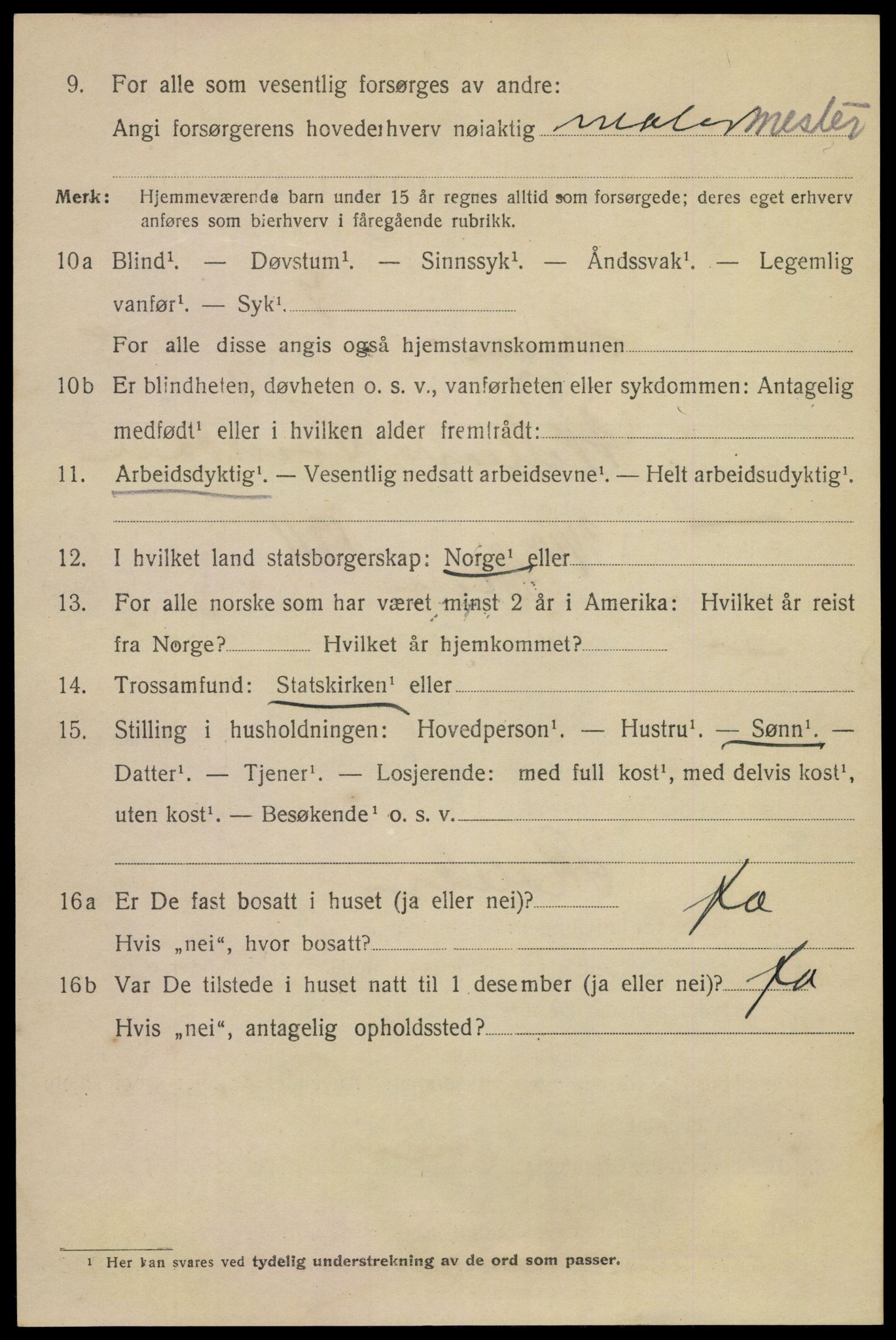 SAKO, 1920 census for Skien, 1920, p. 28607