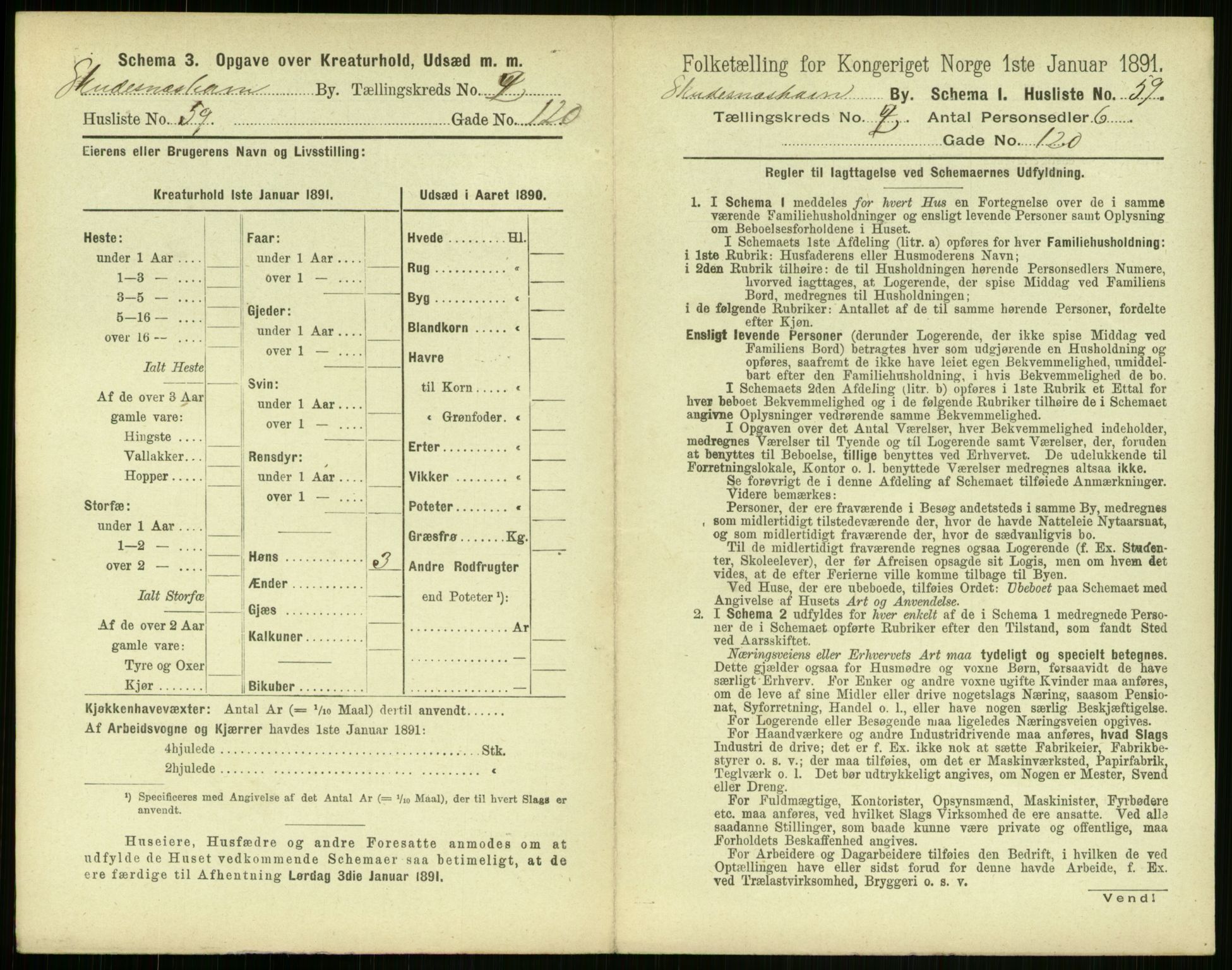 RA, 1891 census for 1104 Skudeneshavn, 1891, p. 176