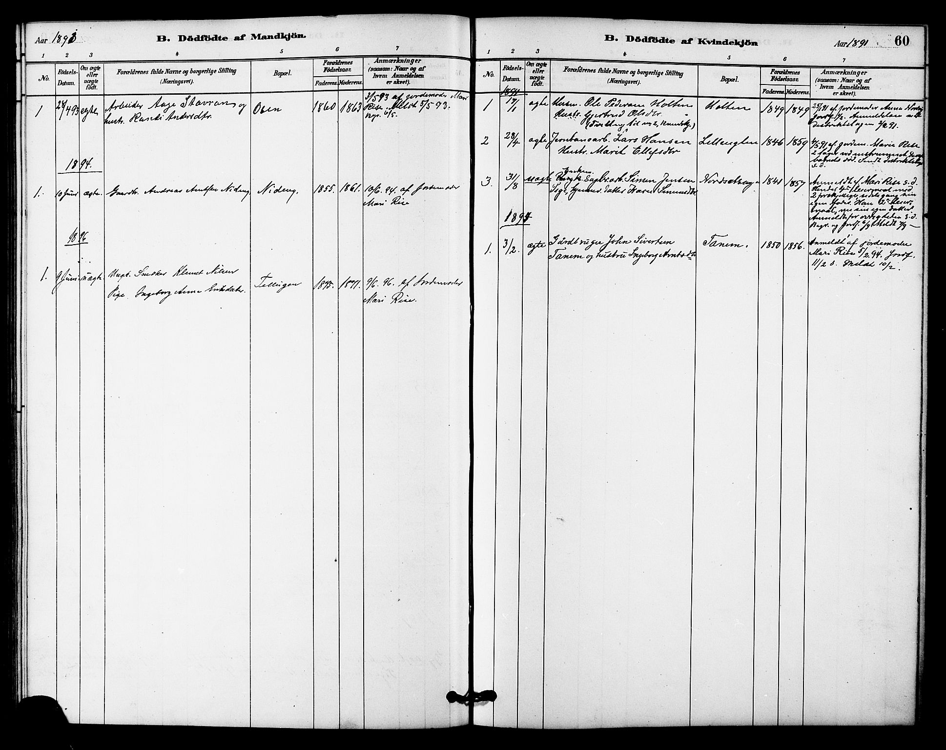Ministerialprotokoller, klokkerbøker og fødselsregistre - Sør-Trøndelag, SAT/A-1456/618/L0444: Parish register (official) no. 618A07, 1880-1898, p. 60