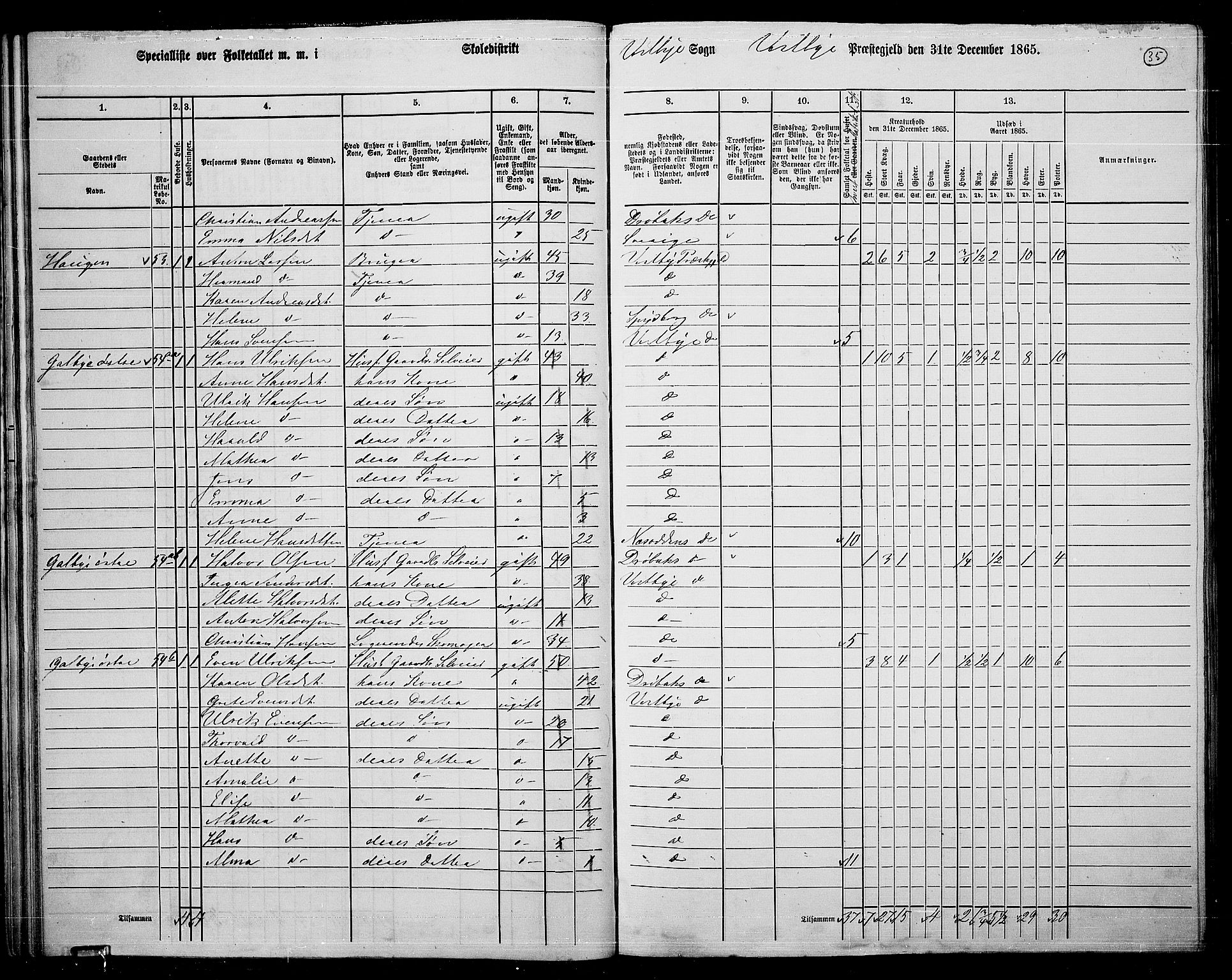 RA, 1865 census for Vestby, 1865, p. 35