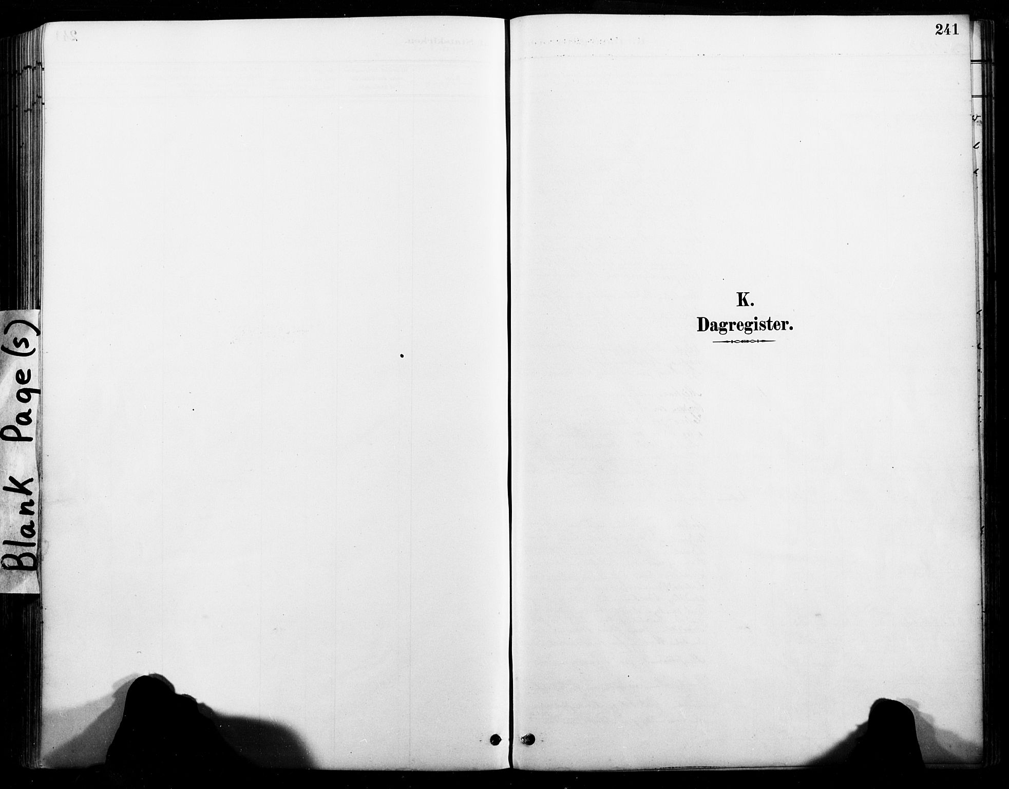Ministerialprotokoller, klokkerbøker og fødselsregistre - Nordland, SAT/A-1459/846/L0646: Parish register (official) no. 846A04, 1887-1901, p. 241