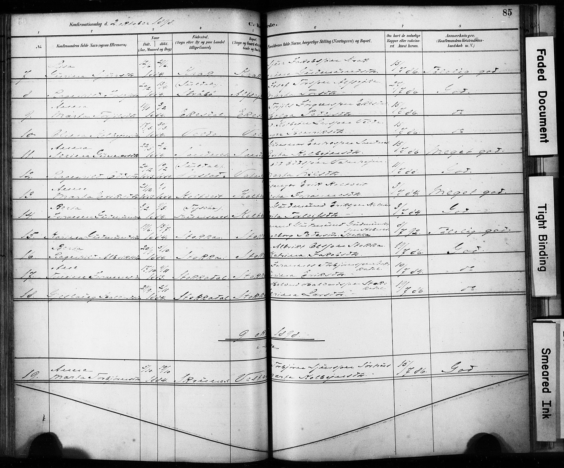 Skjold sokneprestkontor, AV/SAST-A-101847/H/Ha/Haa/L0009: Parish register (official) no. A 9, 1882-1898, p. 85