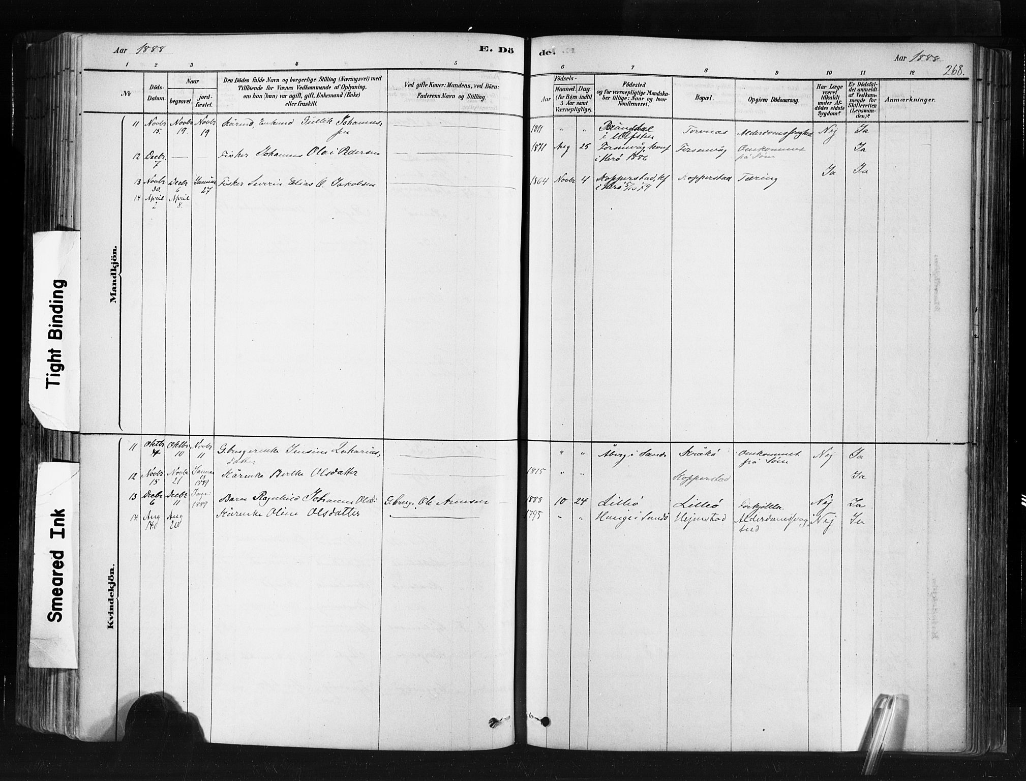 Ministerialprotokoller, klokkerbøker og fødselsregistre - Møre og Romsdal, SAT/A-1454/507/L0073: Parish register (official) no. 507A08, 1878-1904, p. 268