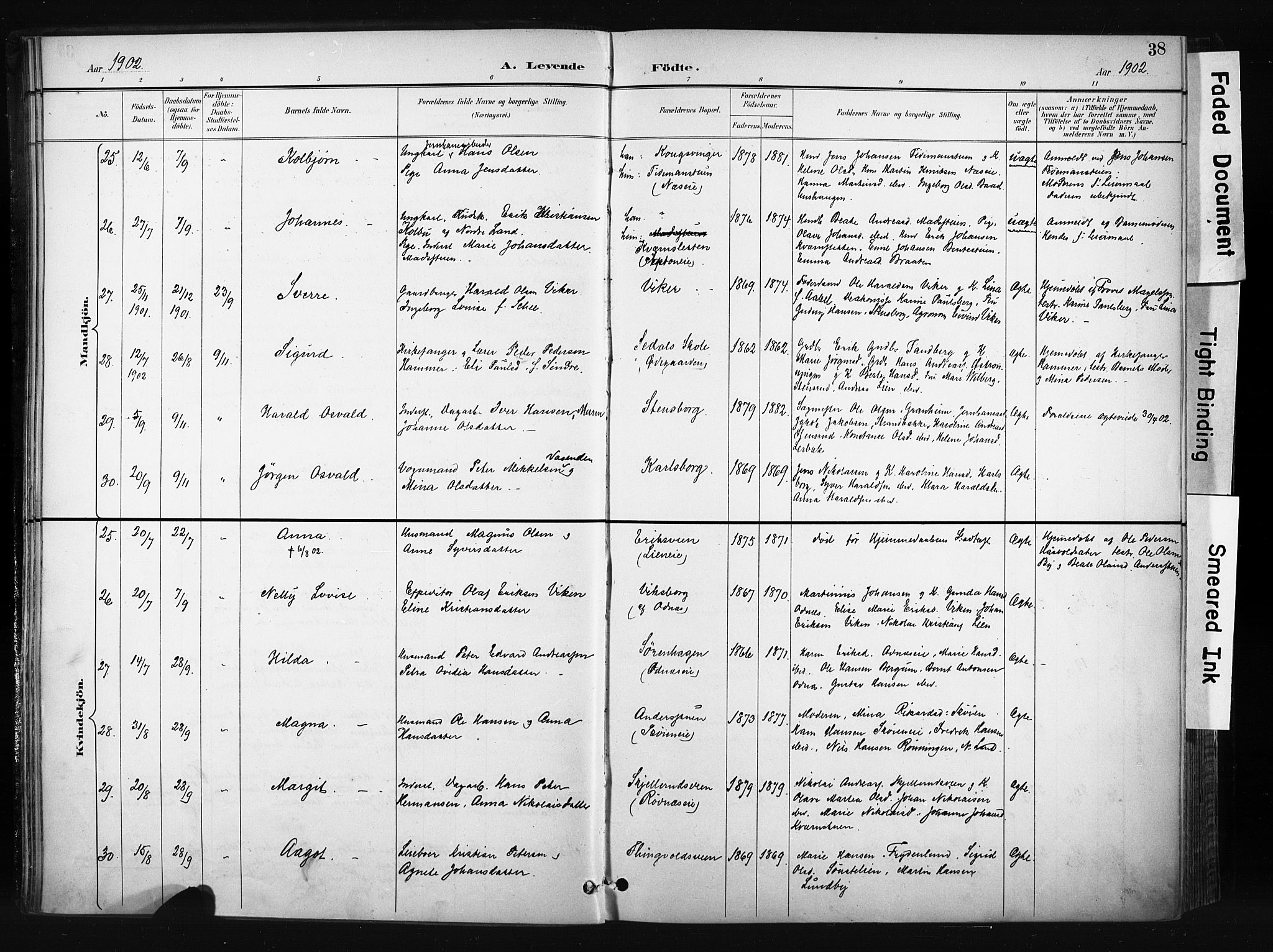 Søndre Land prestekontor, AV/SAH-PREST-122/K/L0004: Parish register (official) no. 4, 1895-1904, p. 38