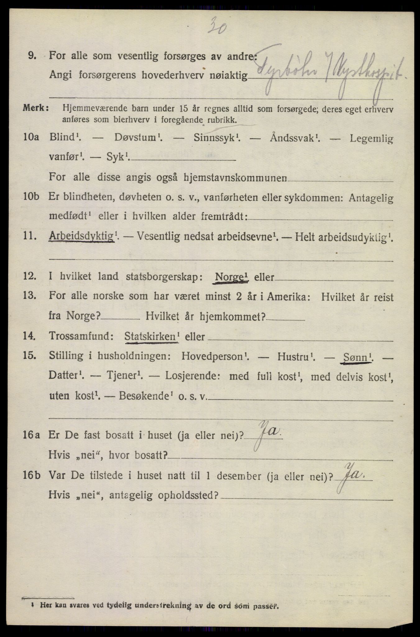 SAKO, 1920 census for Brunlanes, 1920, p. 3860