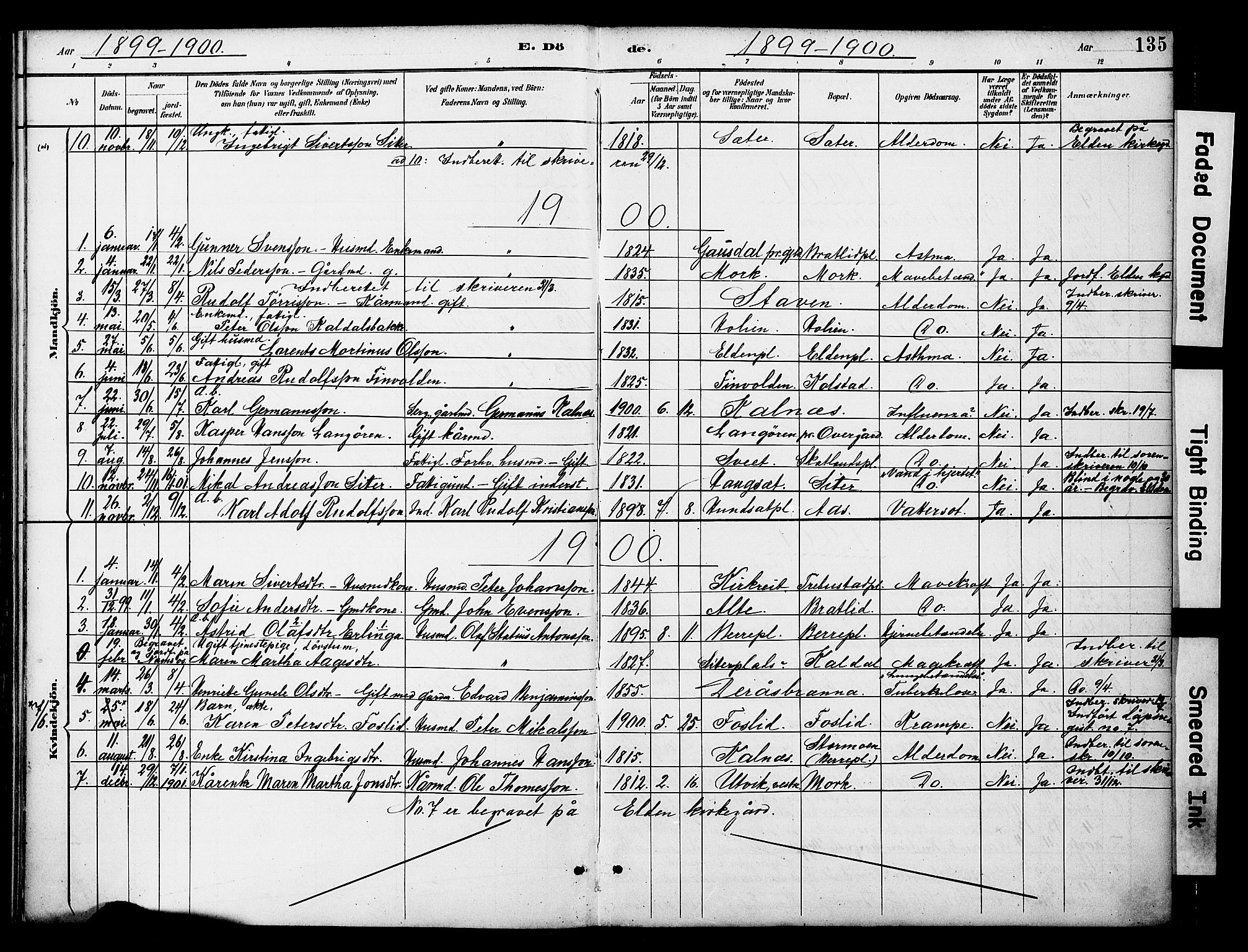 Ministerialprotokoller, klokkerbøker og fødselsregistre - Nord-Trøndelag, SAT/A-1458/742/L0409: Parish register (official) no. 742A02, 1891-1905, p. 135