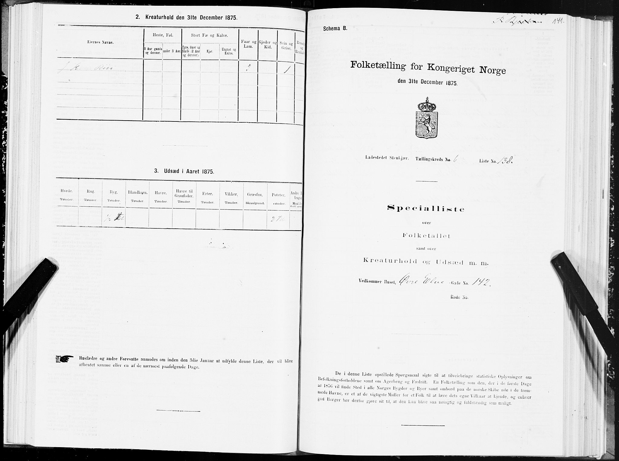 SAT, 1875 census for 1702B Steinkjer/Steinkjer, 1875, p. 141