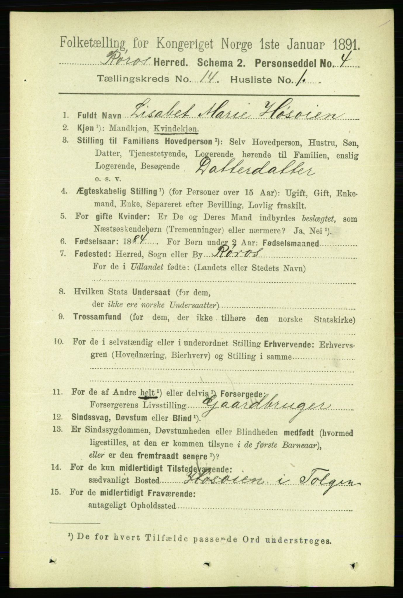 RA, 1891 census for 1640 Røros, 1891, p. 2880