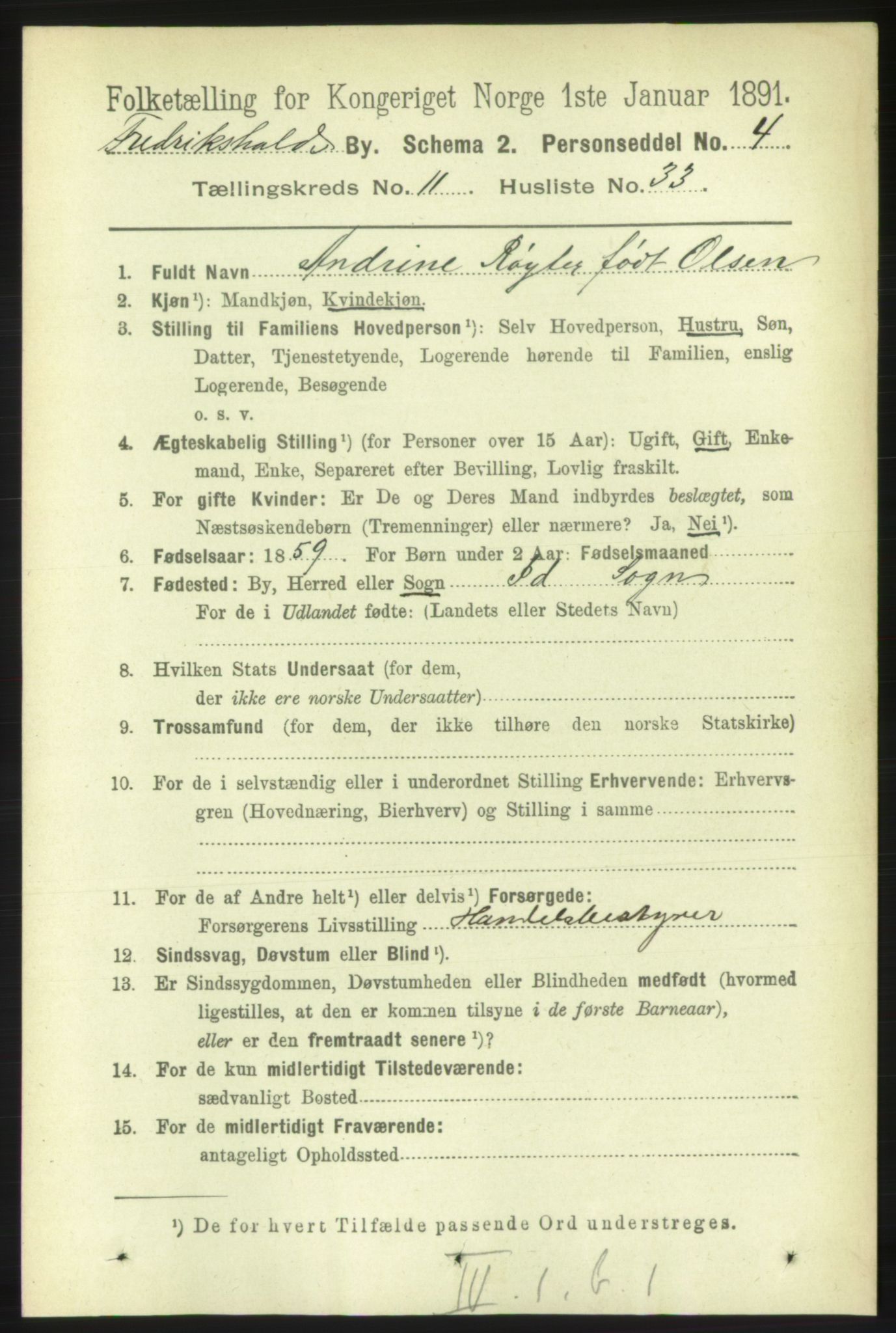 RA, 1891 census for 0101 Fredrikshald, 1891, p. 8035