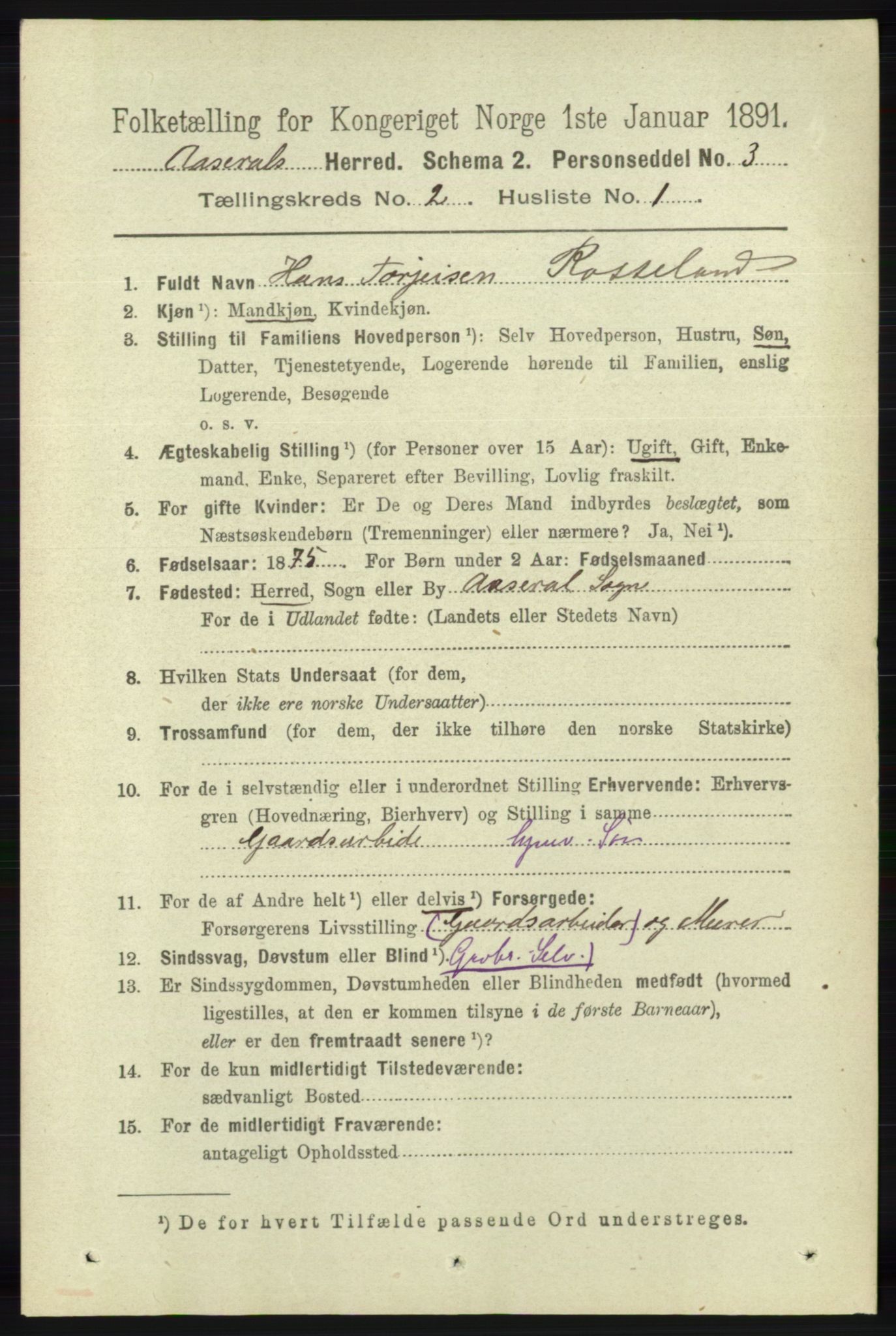 RA, 1891 census for 1026 Åseral, 1891, p. 390