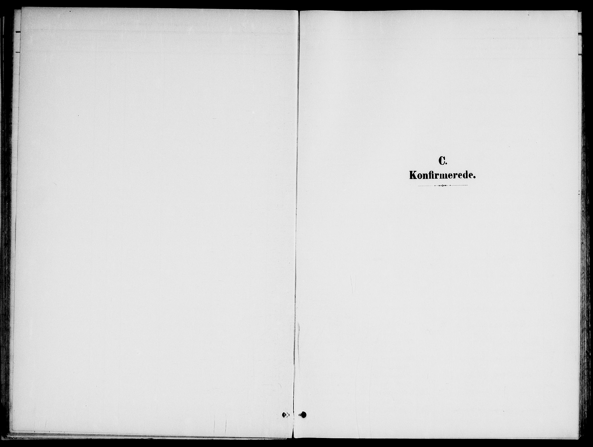 Nannestad prestekontor Kirkebøker, SAO/A-10414a/G/Gb/L0001: Parish register (copy) no. II 1, 1901-1917