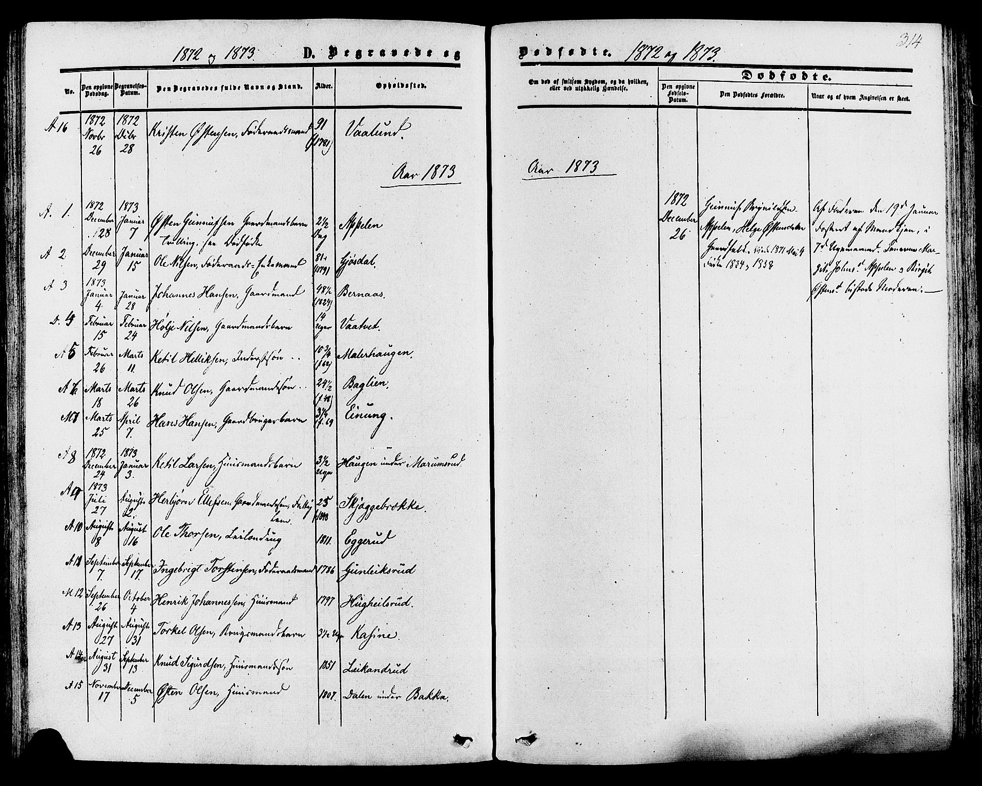 Tinn kirkebøker, SAKO/A-308/F/Fa/L0006: Parish register (official) no. I 6, 1857-1878, p. 314