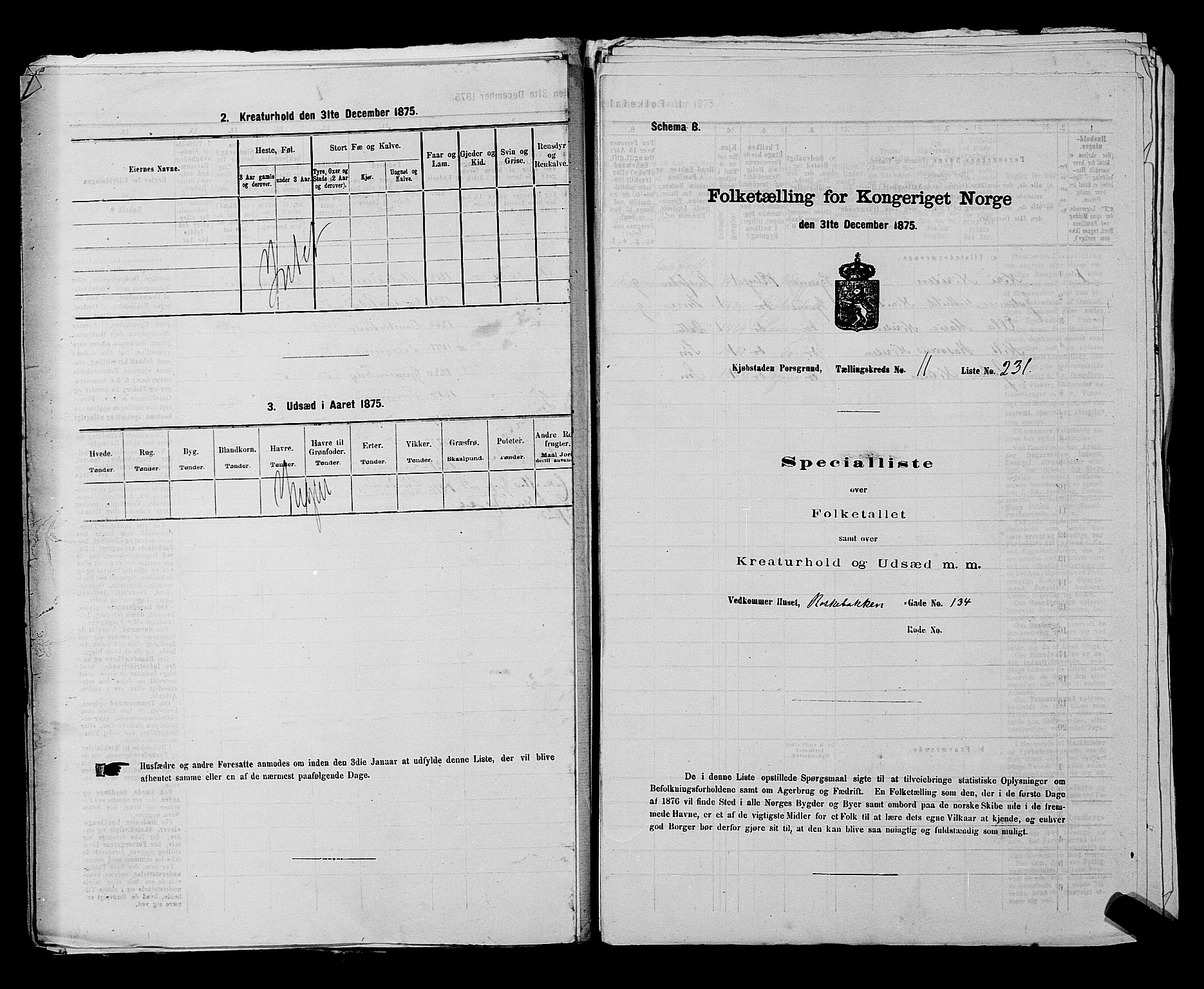 SAKO, 1875 census for 0805P Porsgrunn, 1875, p. 532