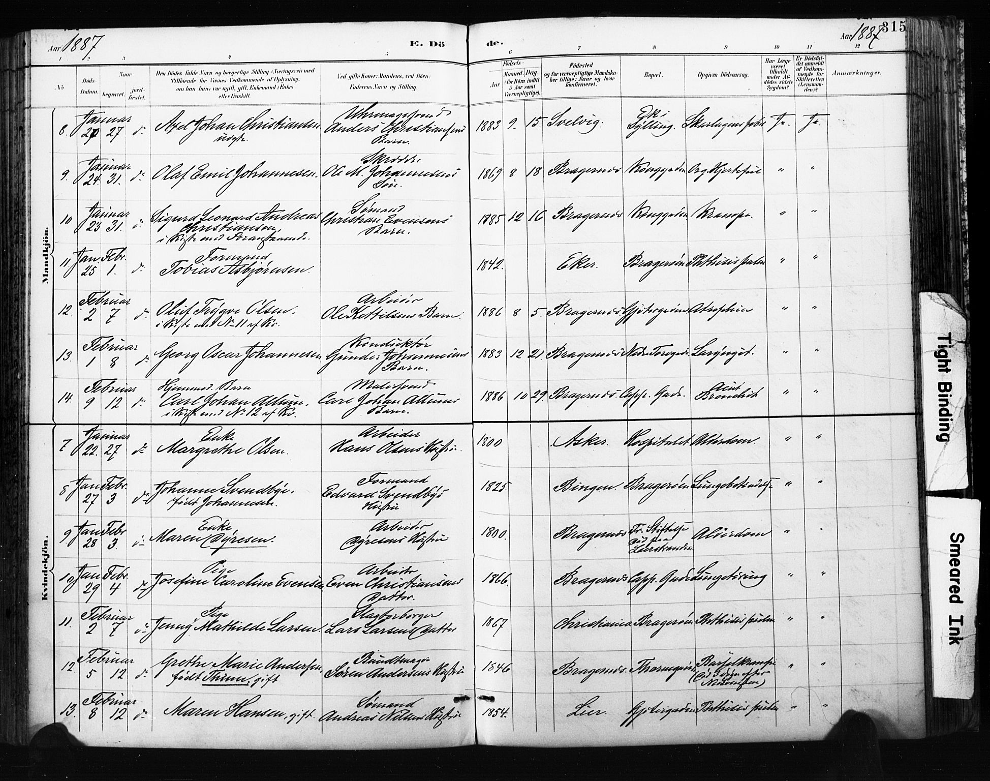 Bragernes kirkebøker, SAKO/A-6/F/Fb/L0007: Parish register (official) no. II 7, 1885-1893, p. 315
