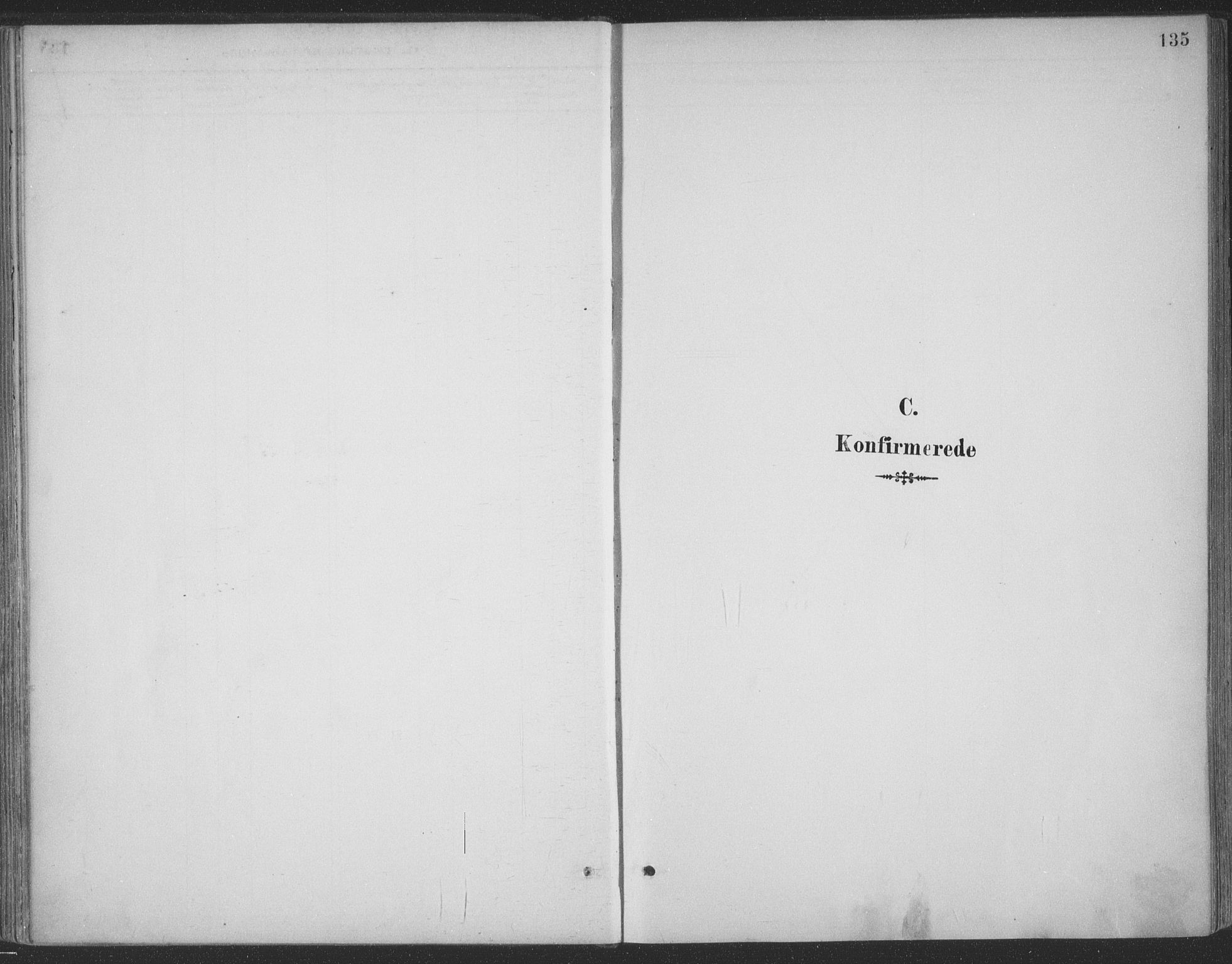 Ministerialprotokoller, klokkerbøker og fødselsregistre - Møre og Romsdal, SAT/A-1454/511/L0142: Parish register (official) no. 511A09, 1891-1905, p. 135
